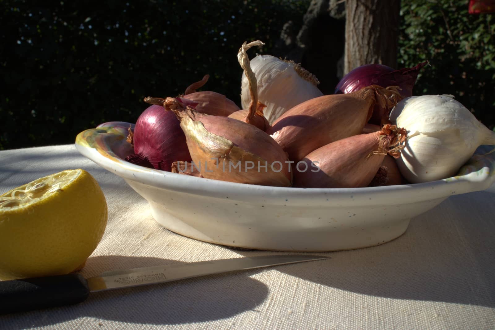 Onions on a table outdoor in a garden in summer time