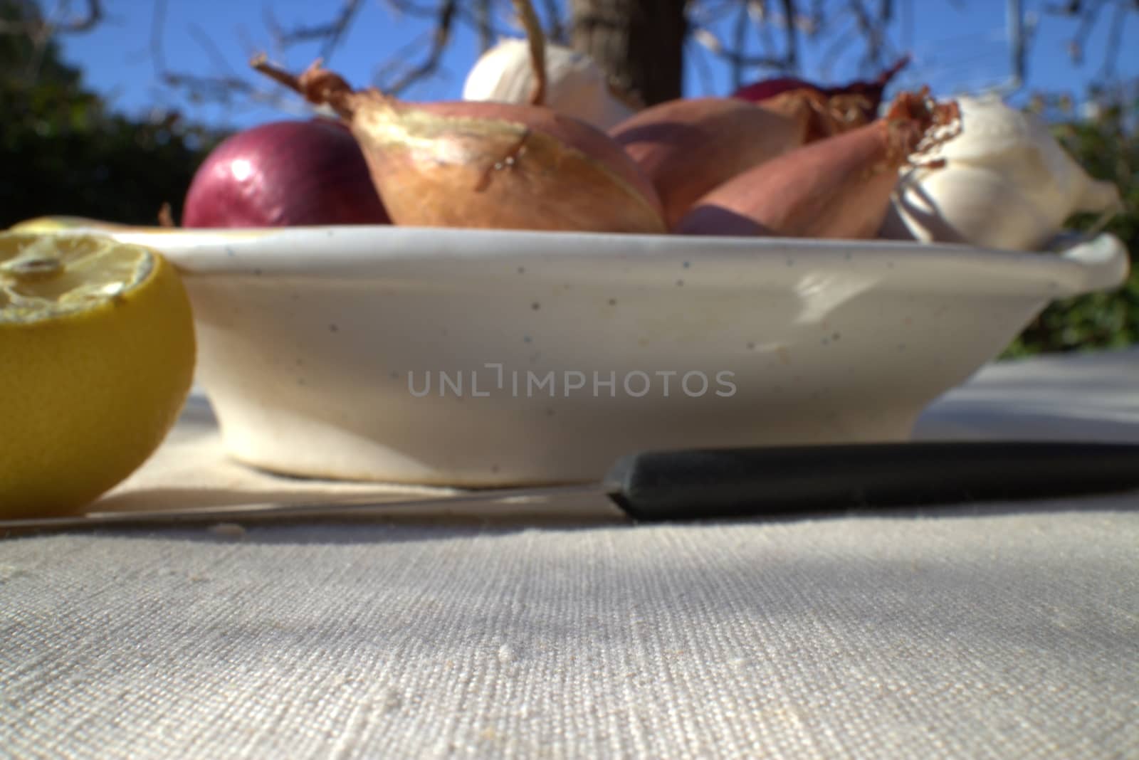 Onions on a table outdoor in a garden in summer time