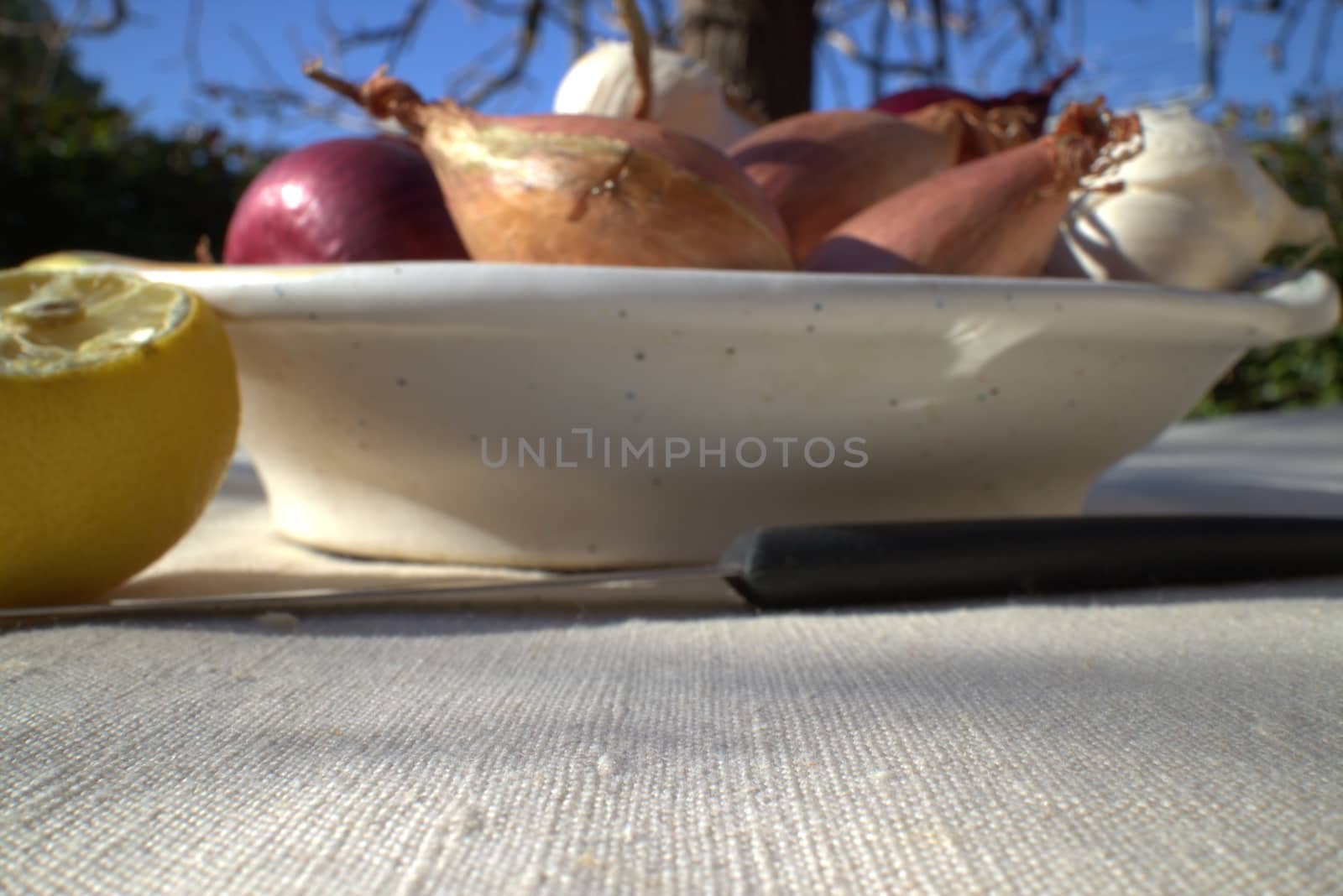 Onions on a table outdoor in a garden in summer time