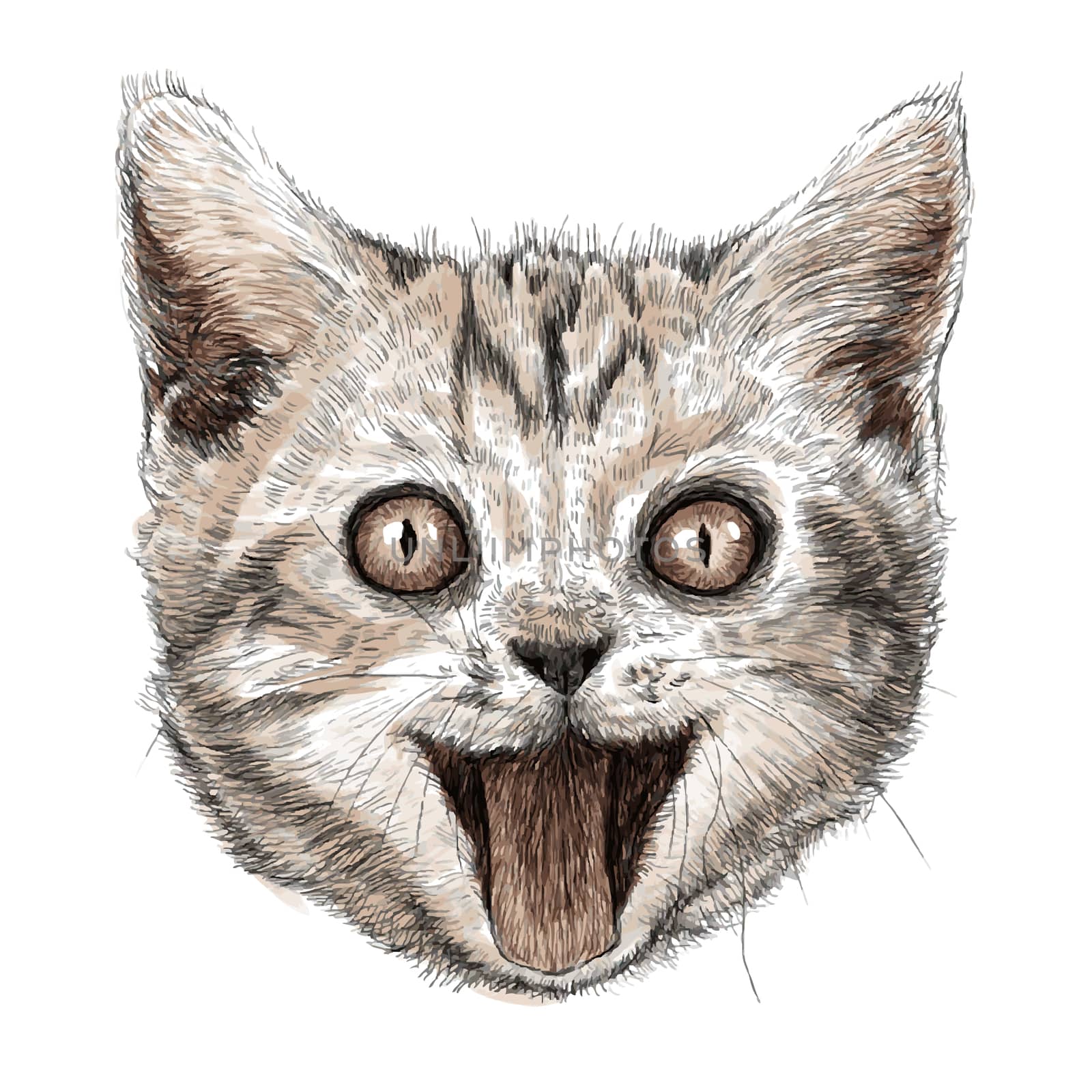 head of smiling cat by simpleBE