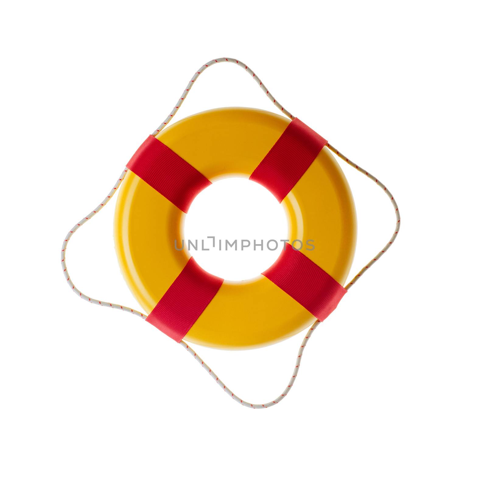 lifebuoy isolated on the white background