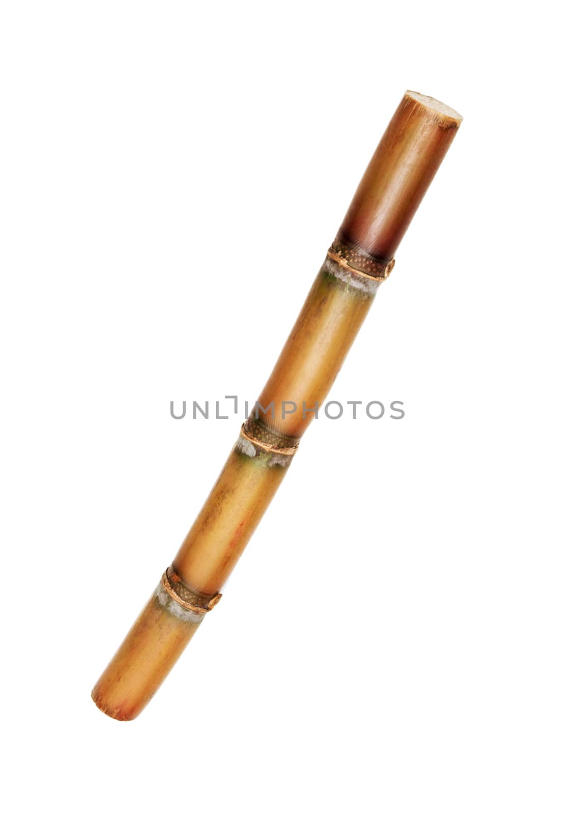 One letter of bamboo alphabet isolated on white
