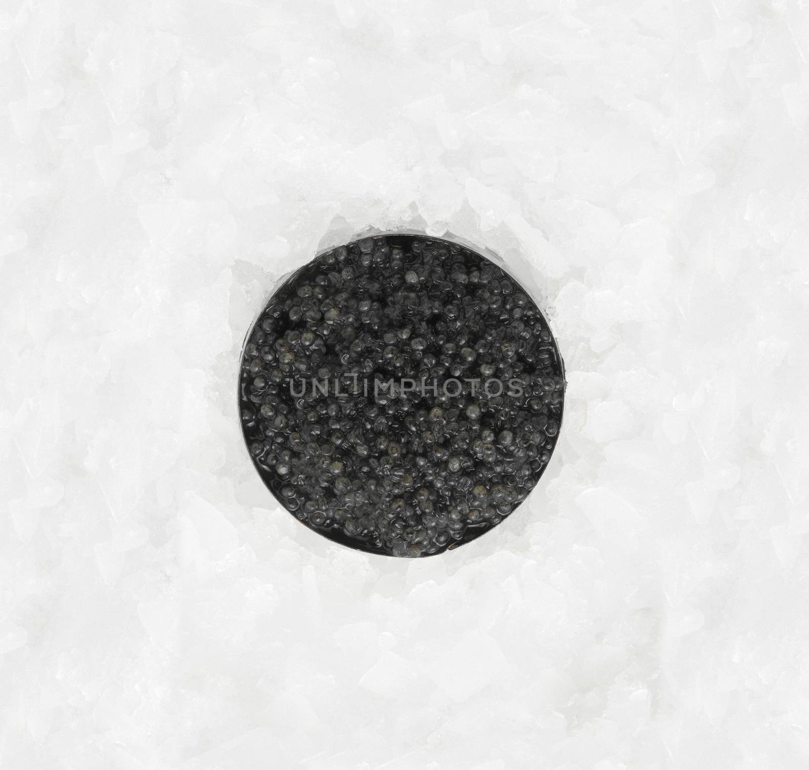 Black caviar in a bowl isolated