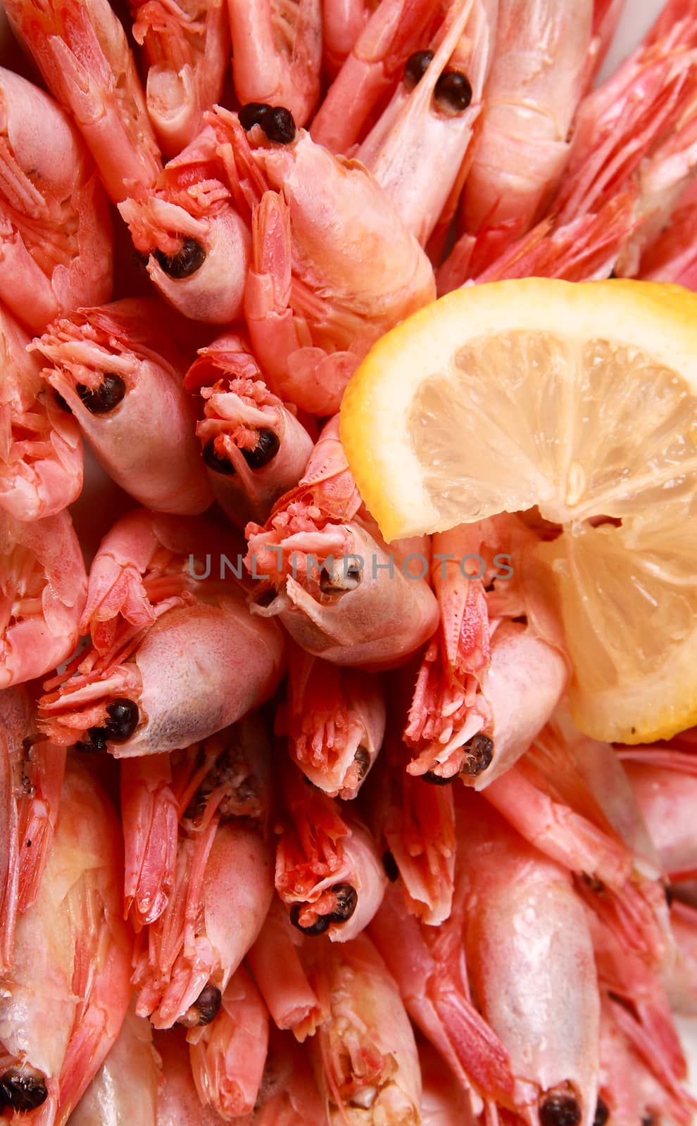 shrimp with lemon close up