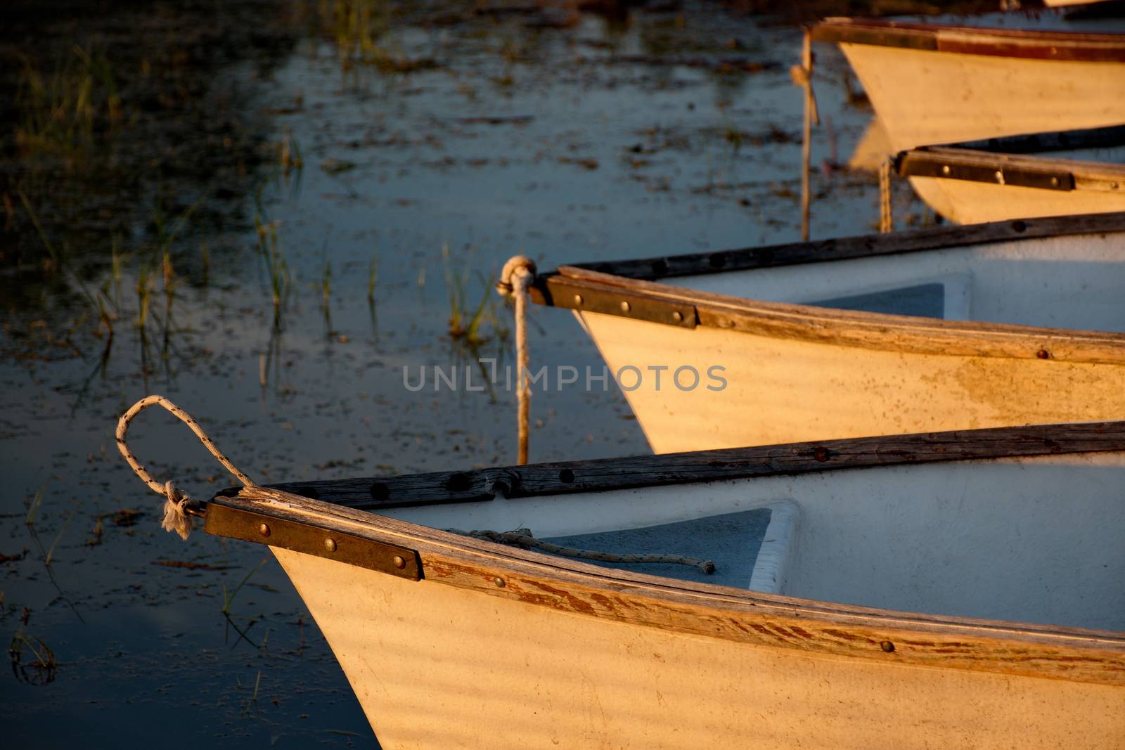 Boats in a row