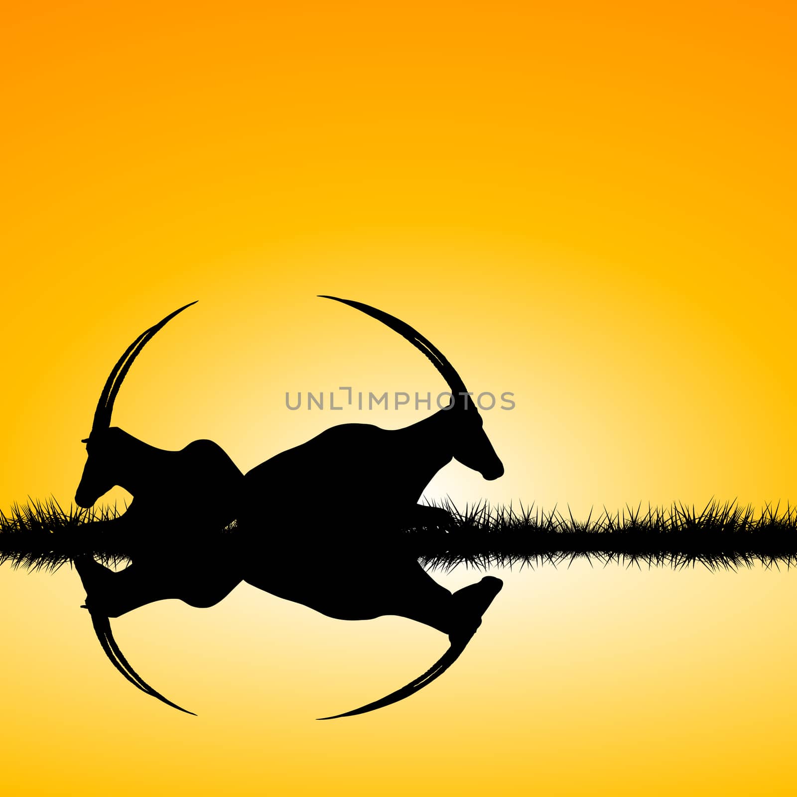 Landscape with two antelopes silhouettes on sunset