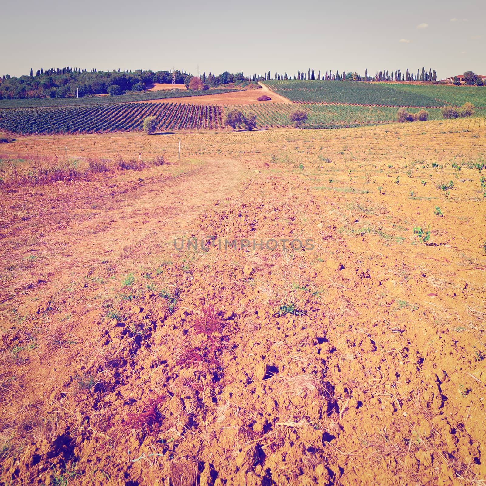 Plowed Fields of Italy in a Autumn on the Background of the Vineyards, Instagram Effect