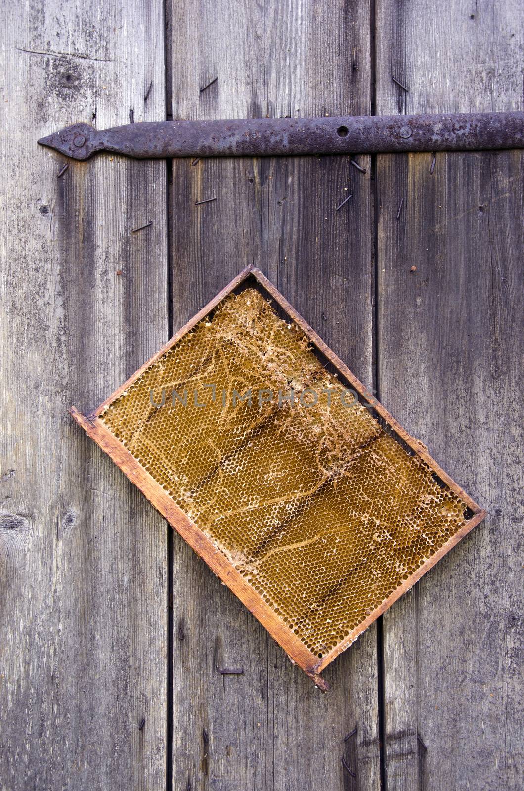 Honeycomb on old wooden farm barn door background