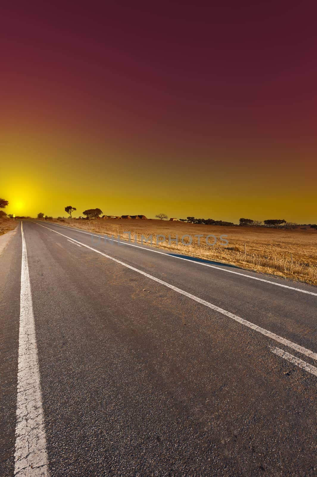 Straigt Asphalt Road  near a Cowshed at Sunset in Portugal