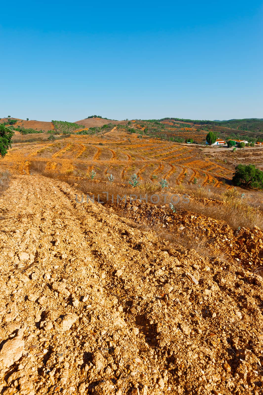Preparation Plowed Terraces for Planting Vines in Portugal