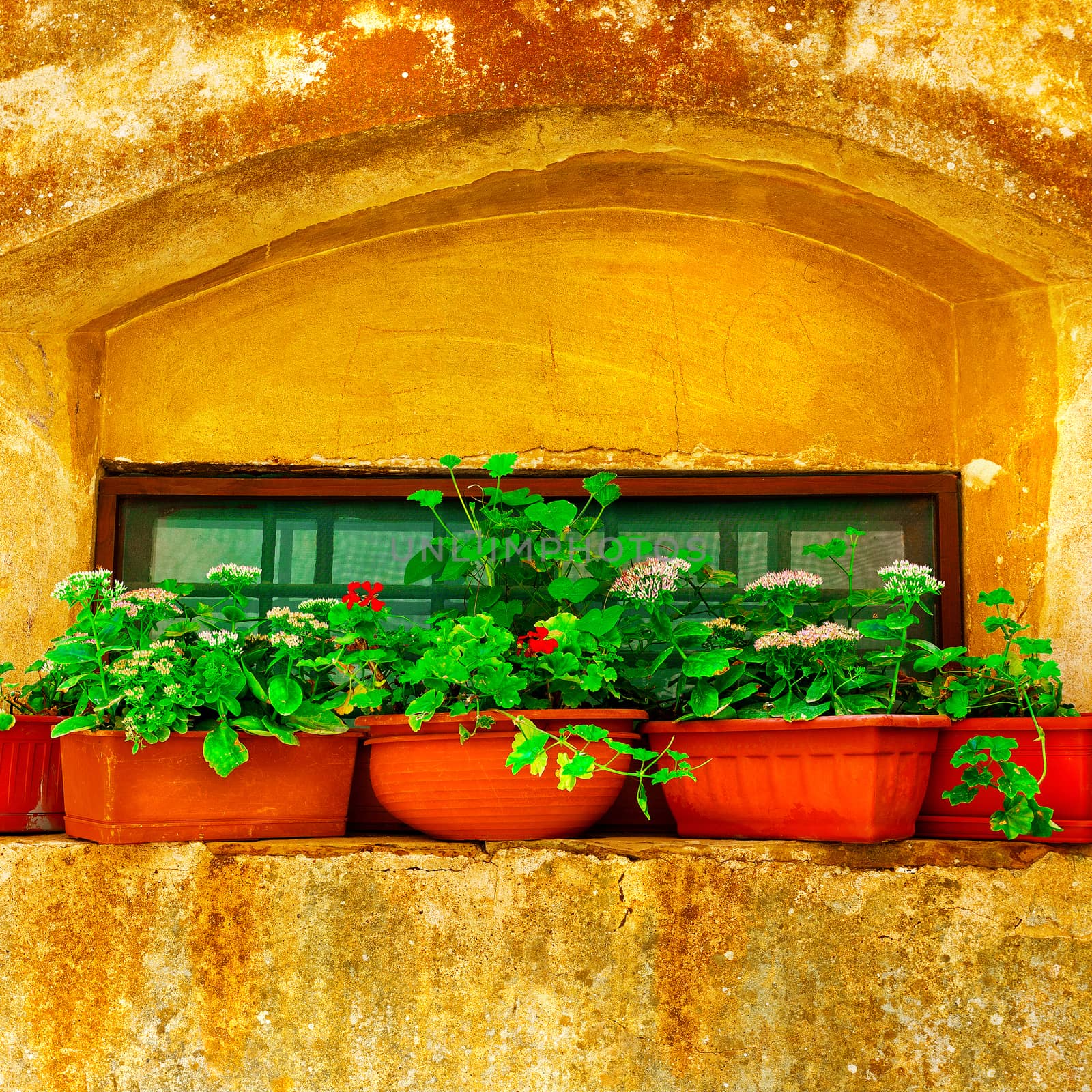 Italian Window Decorated with Fresh Flowers, Instagram Effect