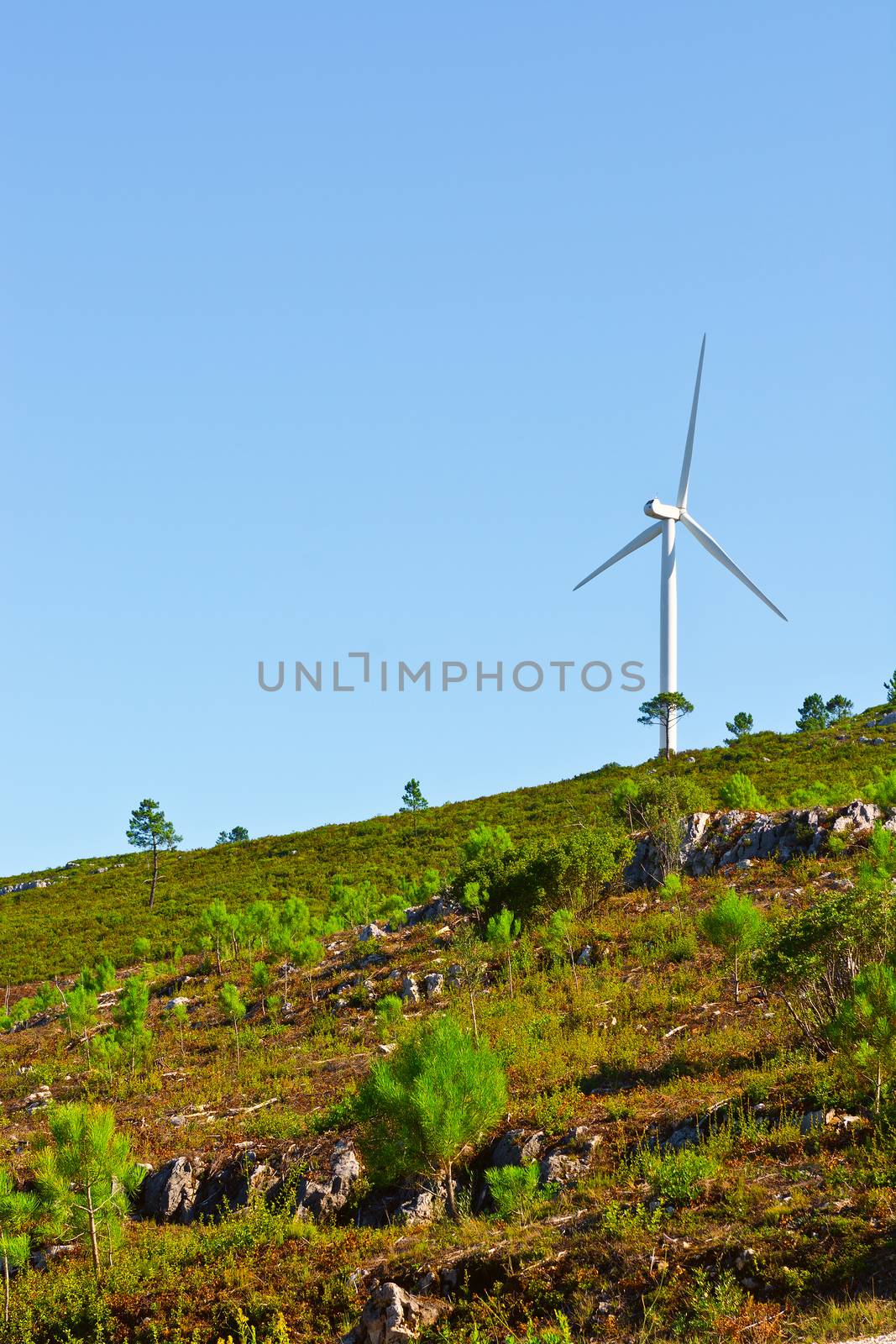 Modern Wind Turbine Producing Energy in Portugal