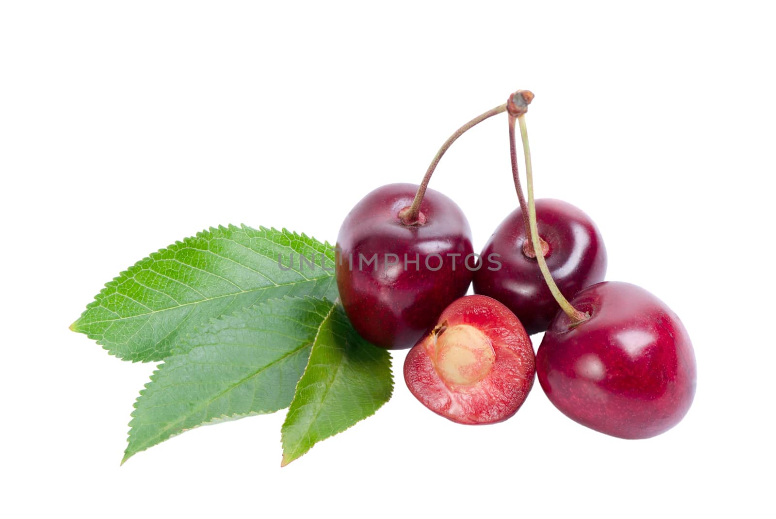 Four cherries by richpav