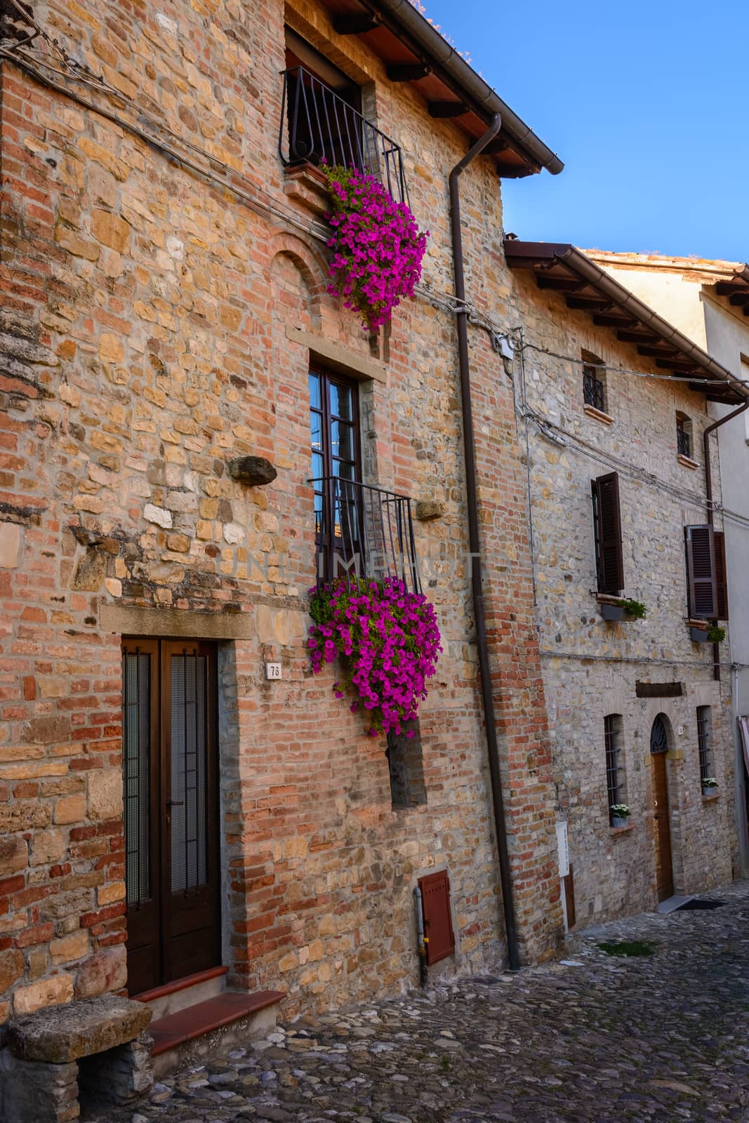 Balcony flowers colorful by Robertobinetti70