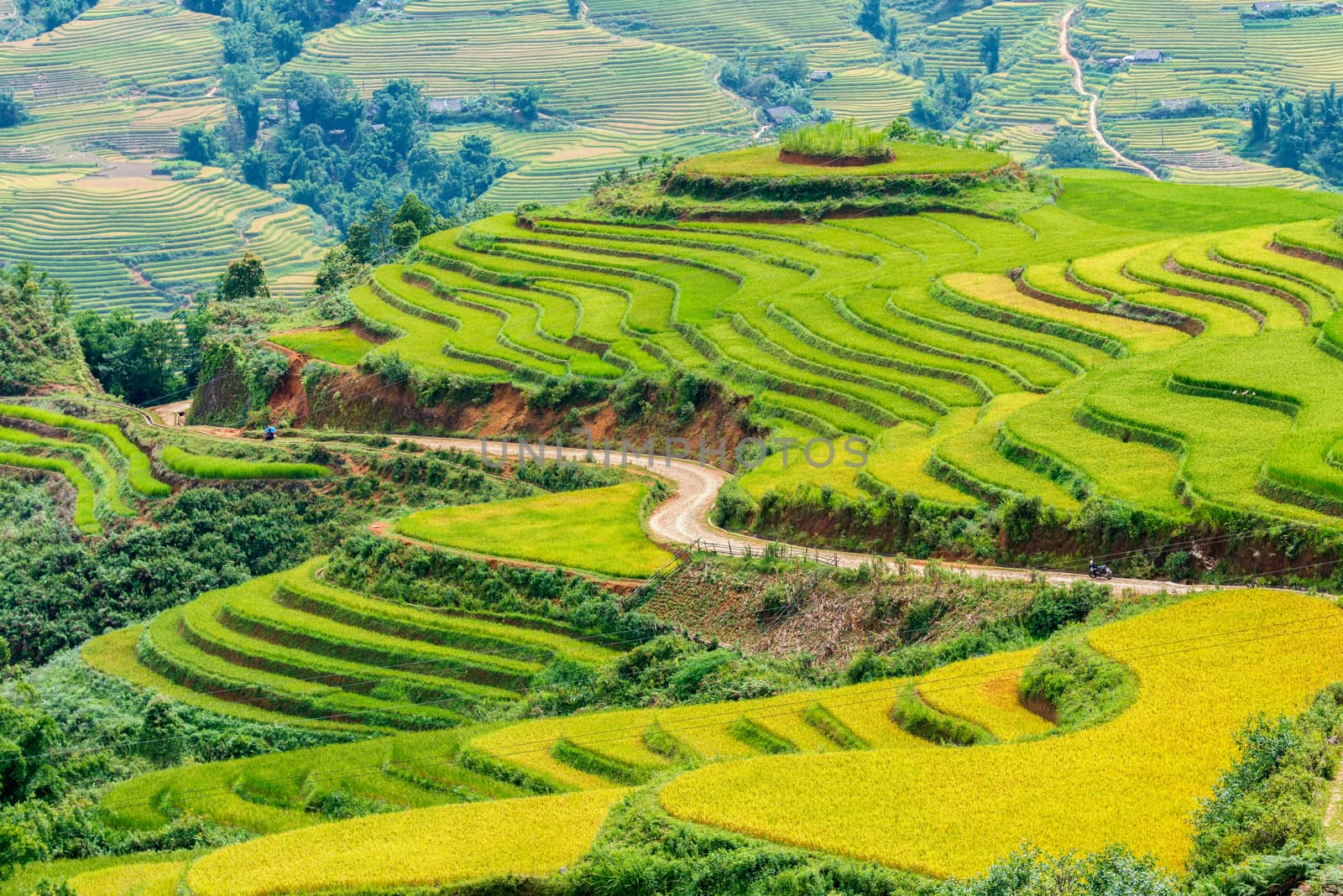 Vietnam Rice Terraces by trocphunc
