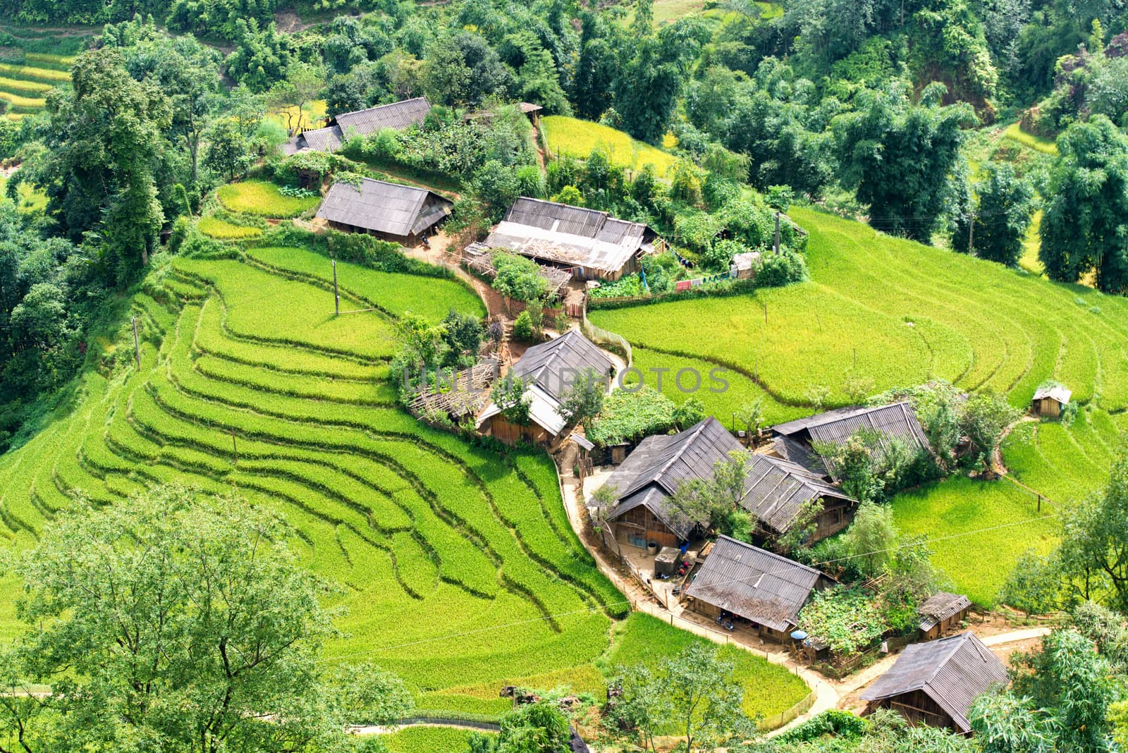 Vietnam Rice Terraces by trocphunc