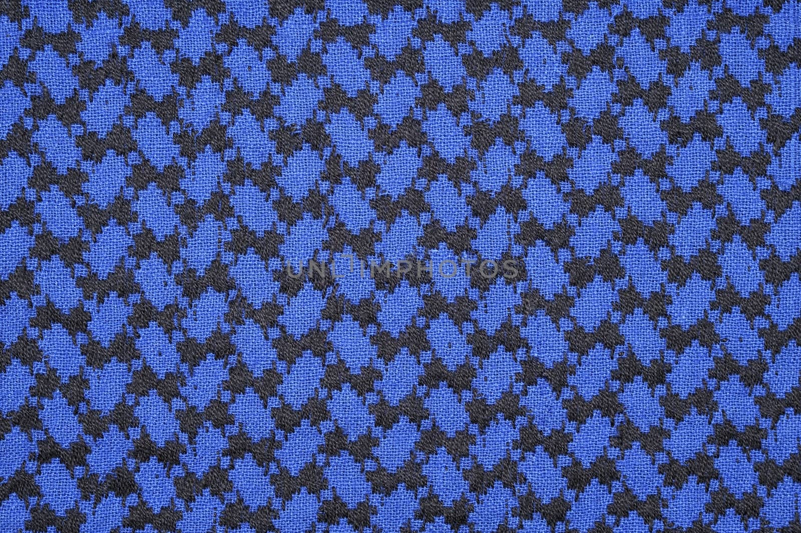 Blue and black gingham tablecloth pattern.