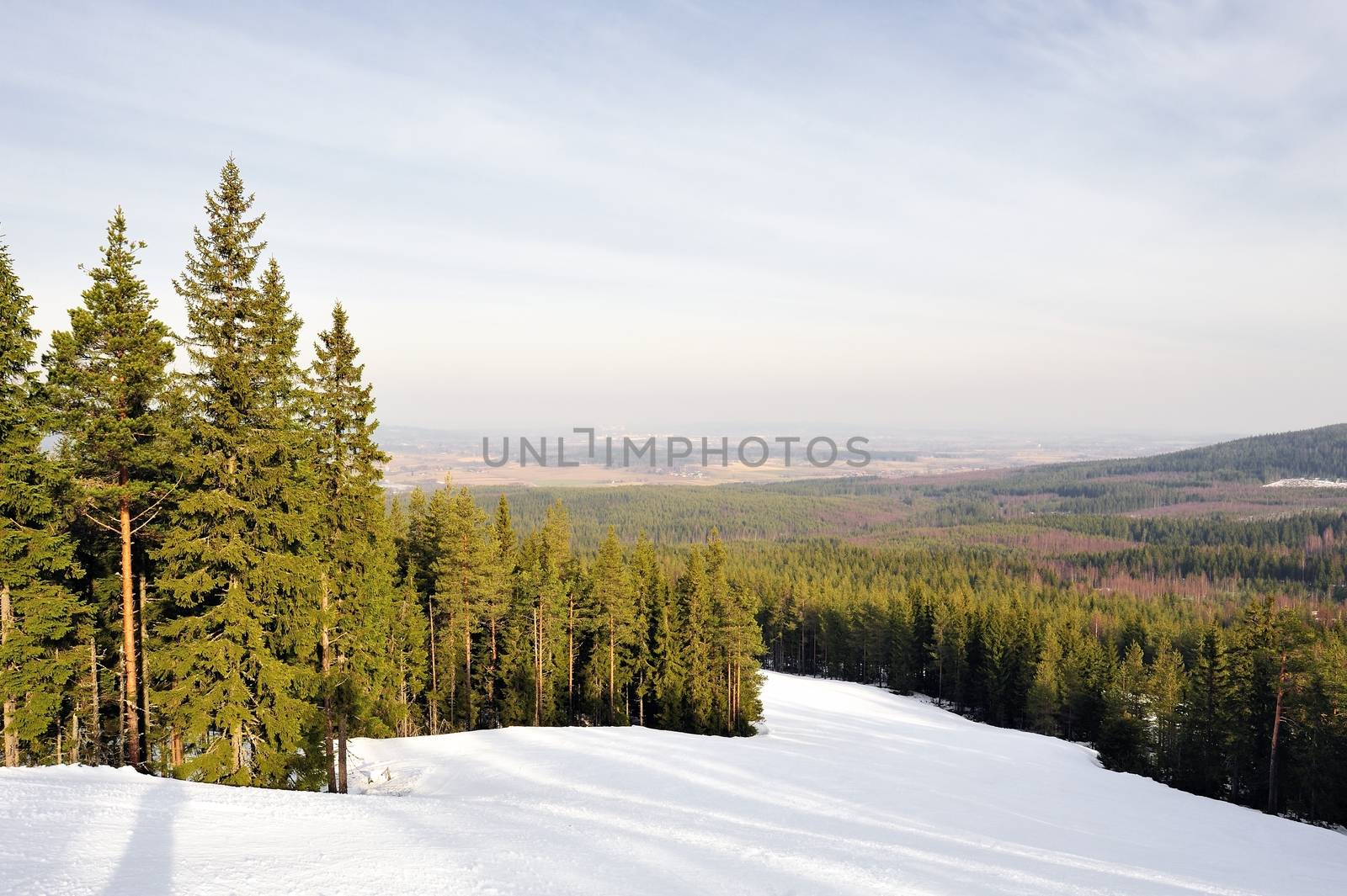 Ski Run at snowmass.