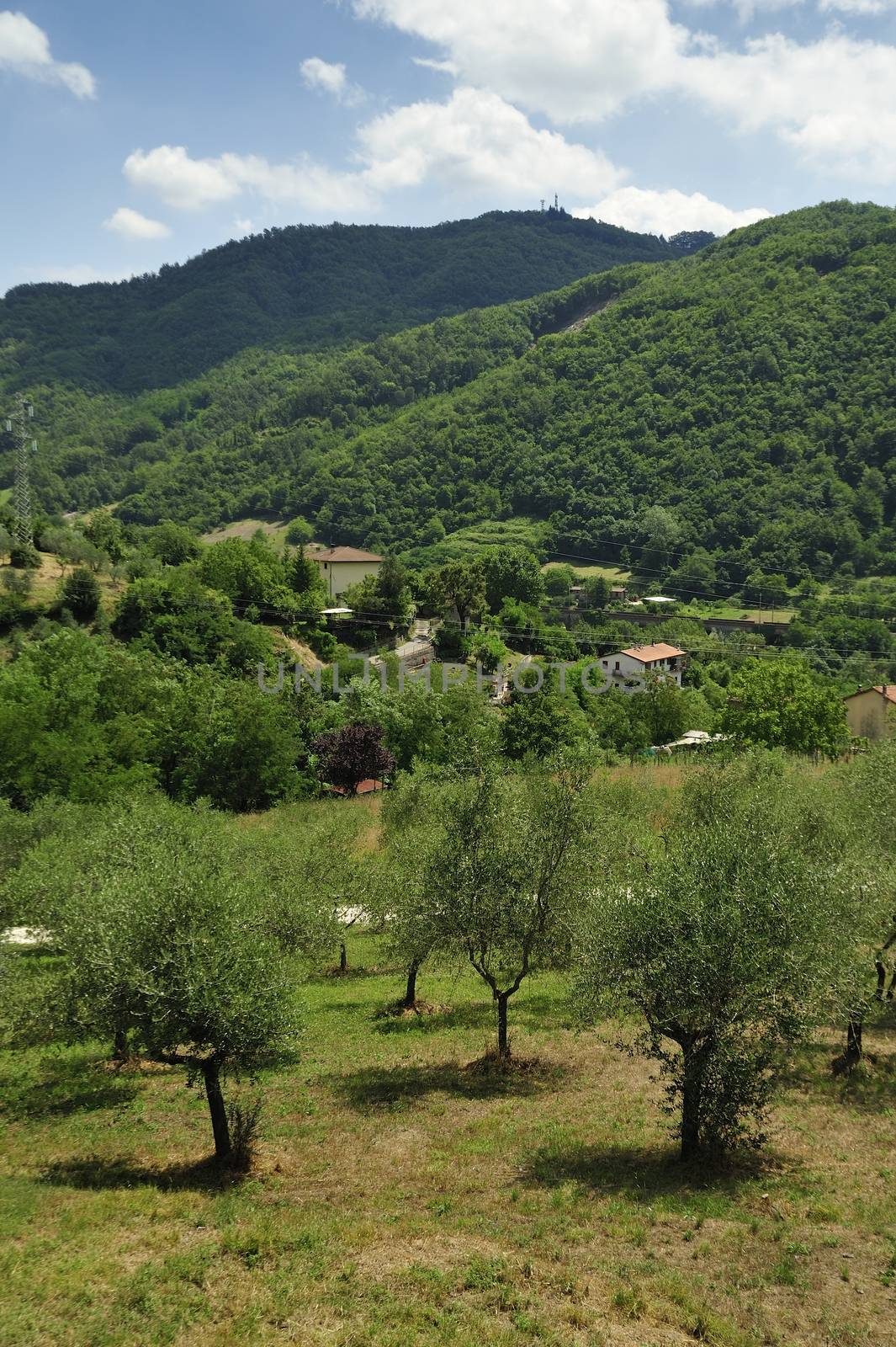 Vernio region hills in Italy by a40757