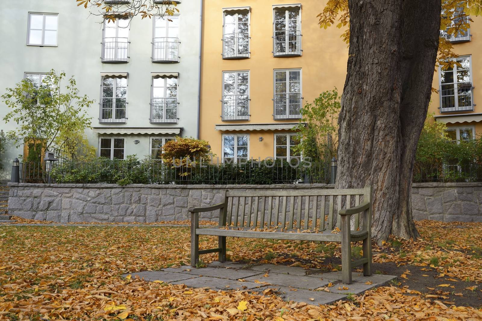 Autumn in public garden