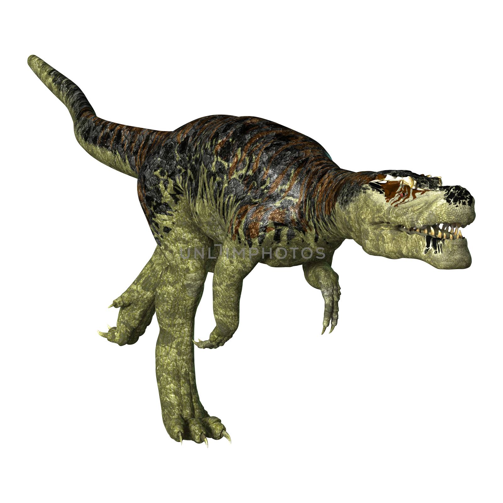 3D digital render of a dinosaur Tyrannosaurus Rex running isolated on white background
