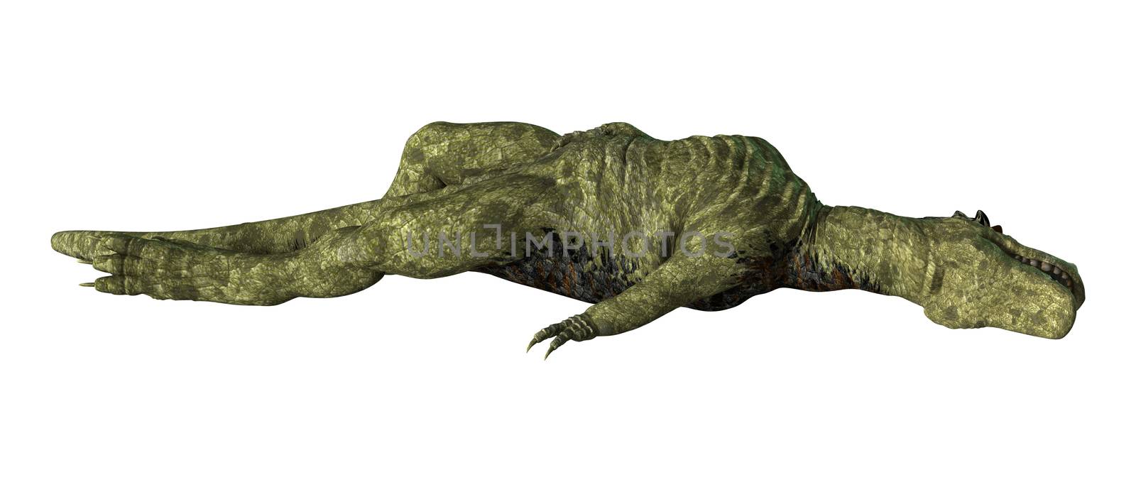 3D digital render of a dinosaur Tyrannosaurus Rex  isolated on white background