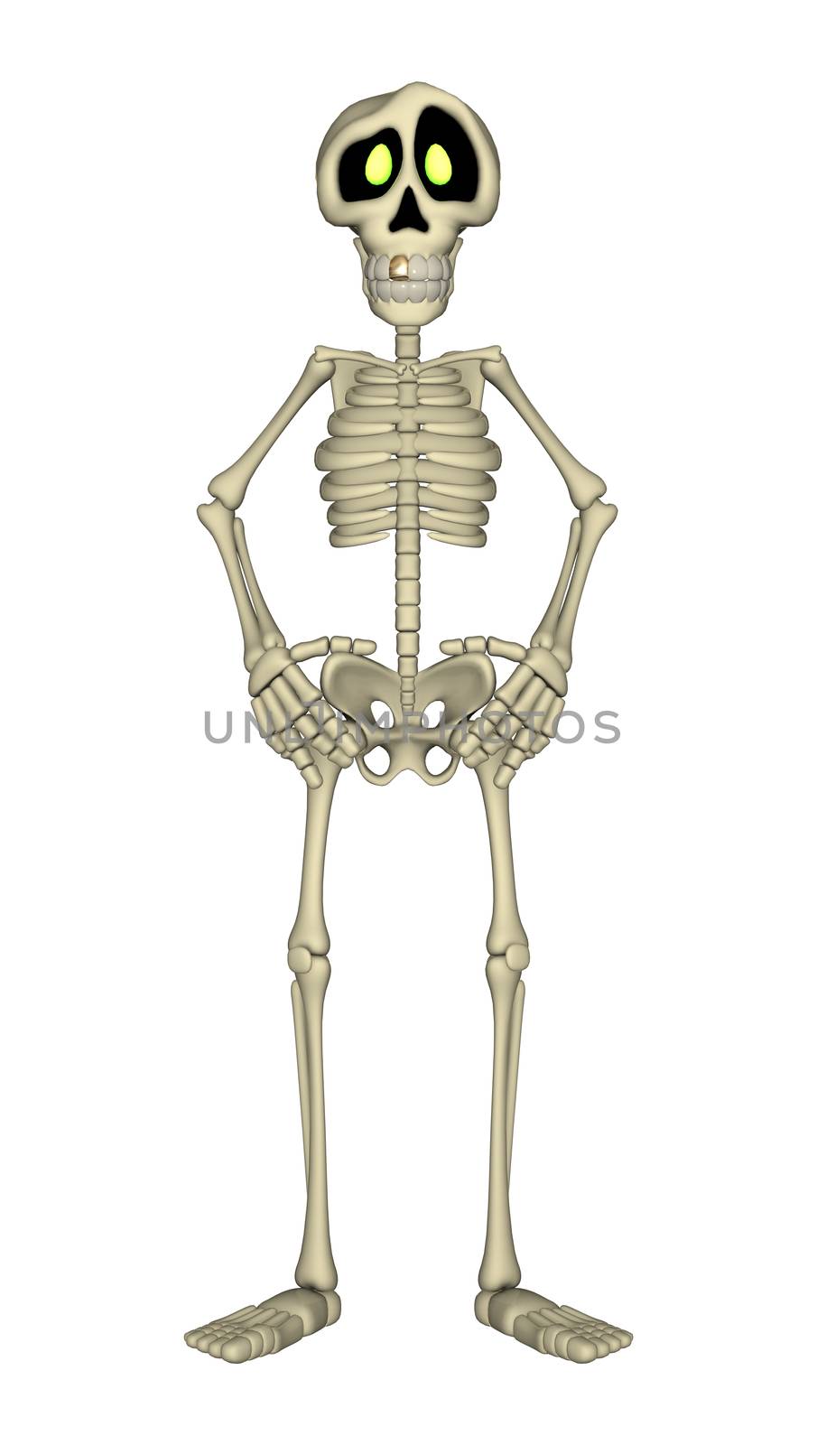 Skeleton by Vac