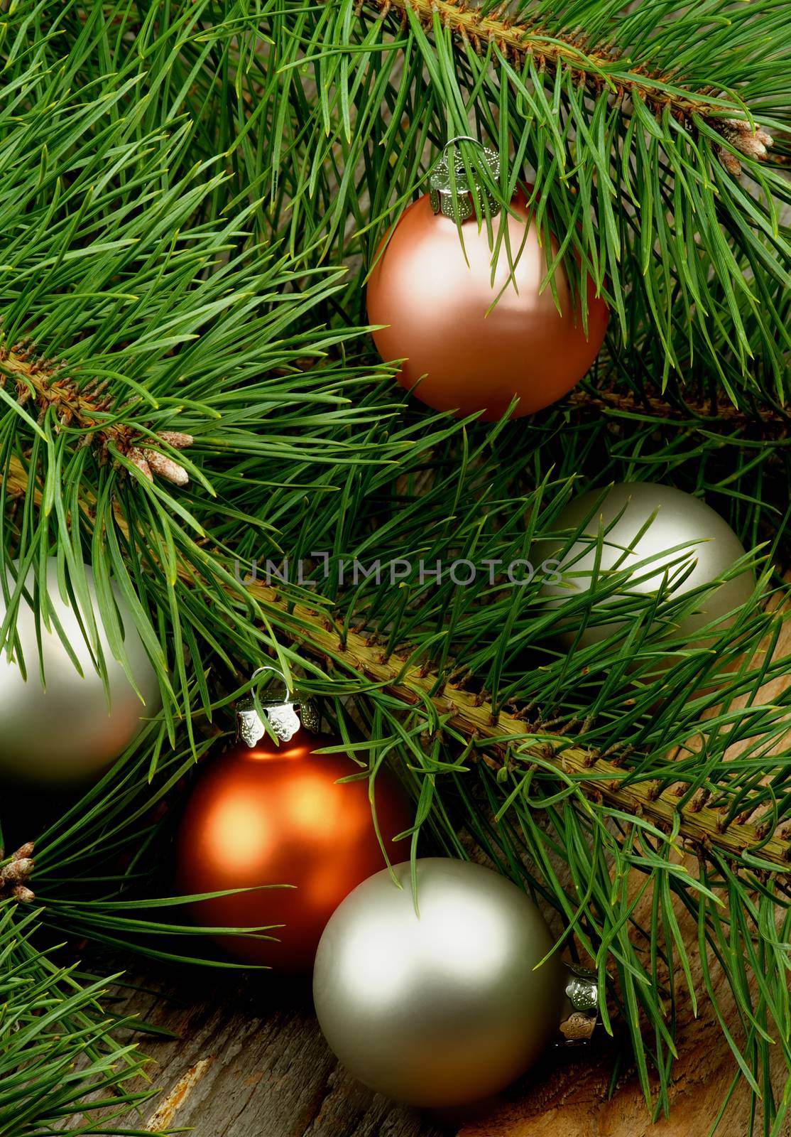 Christmas Decoration with Fluffy Green Pine Branches and Five Pastel Colored Baubles closeup on Rustic Wooden background