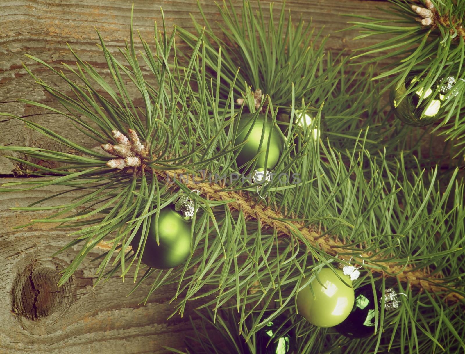 Christmas Decoration with Small Green Baubles into Fluffy Green Pine Branches closeup on Textured Wooden background. Retro Styled