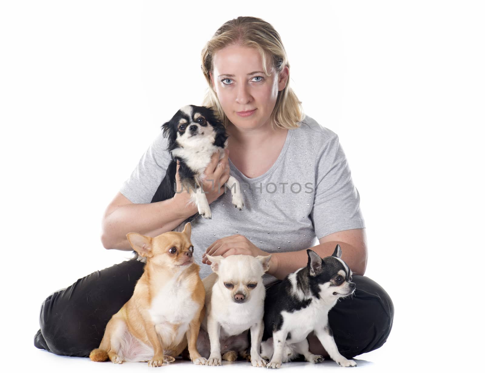 girl and chihuahuas in front of white background