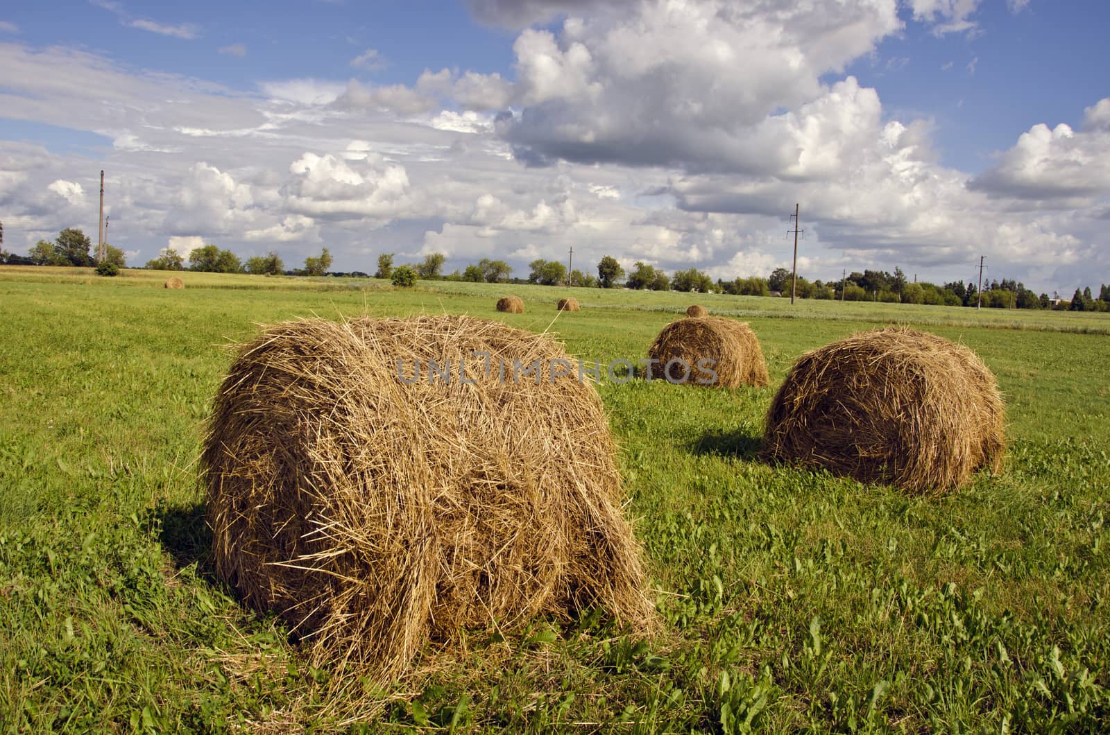 Green farm field with an haystacks under cloudy sky