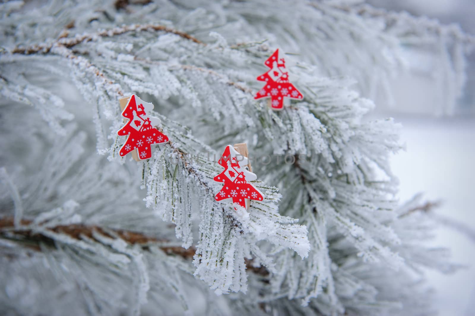 Winter background of snow-covered fir trees decorated