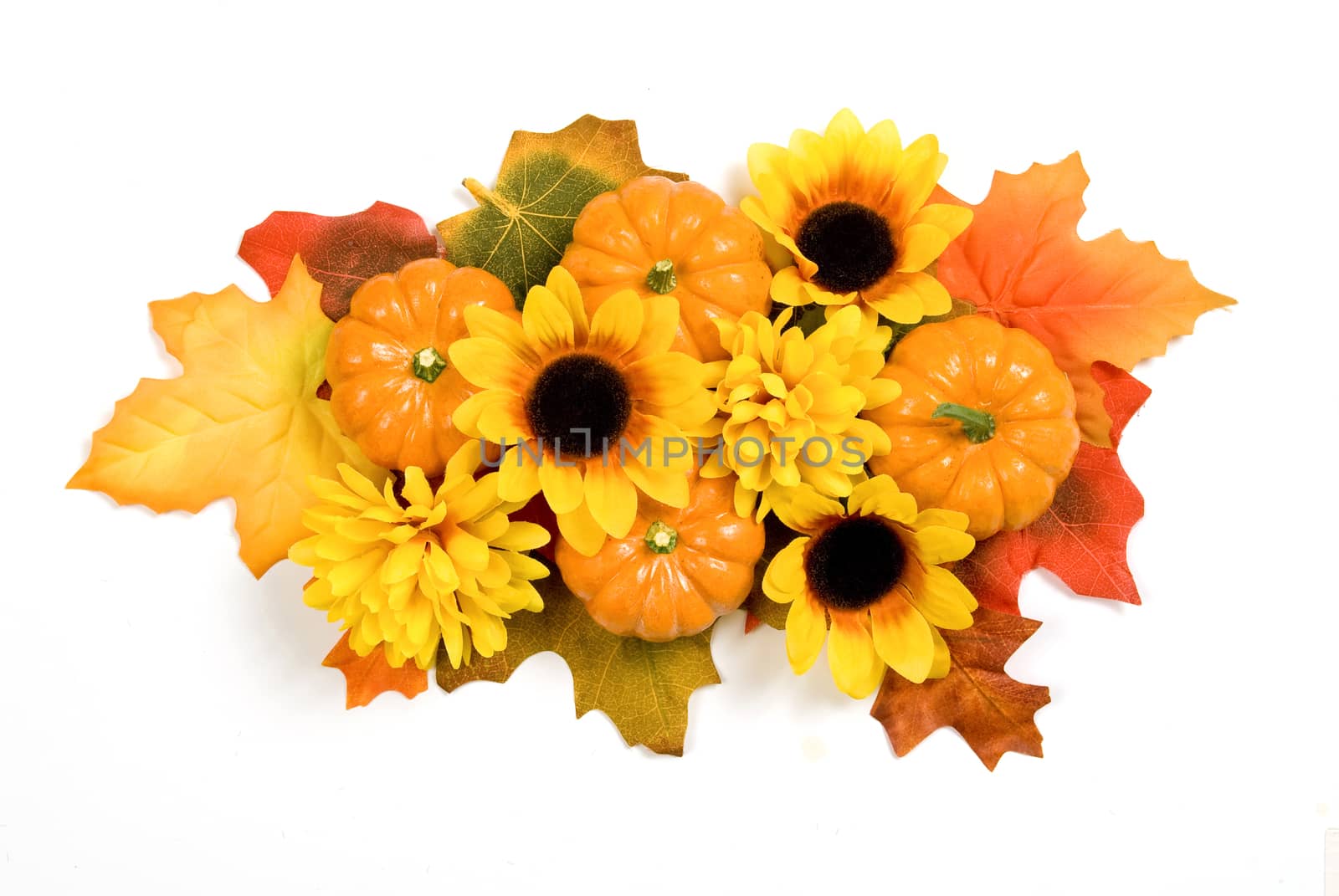 Beautiful brightly colored yellows, oranges, and greens included in this Autumn Centerpiece with little pumpkins on a white background