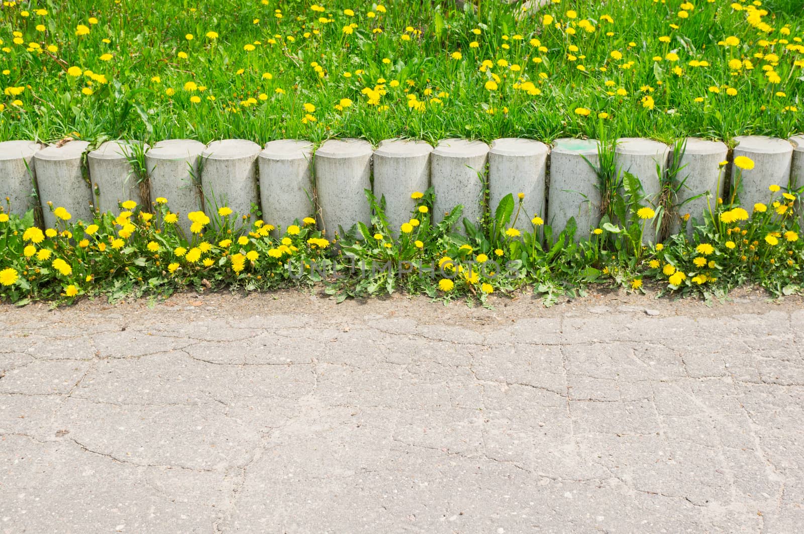 Stone barrier with grass and yellow flowers