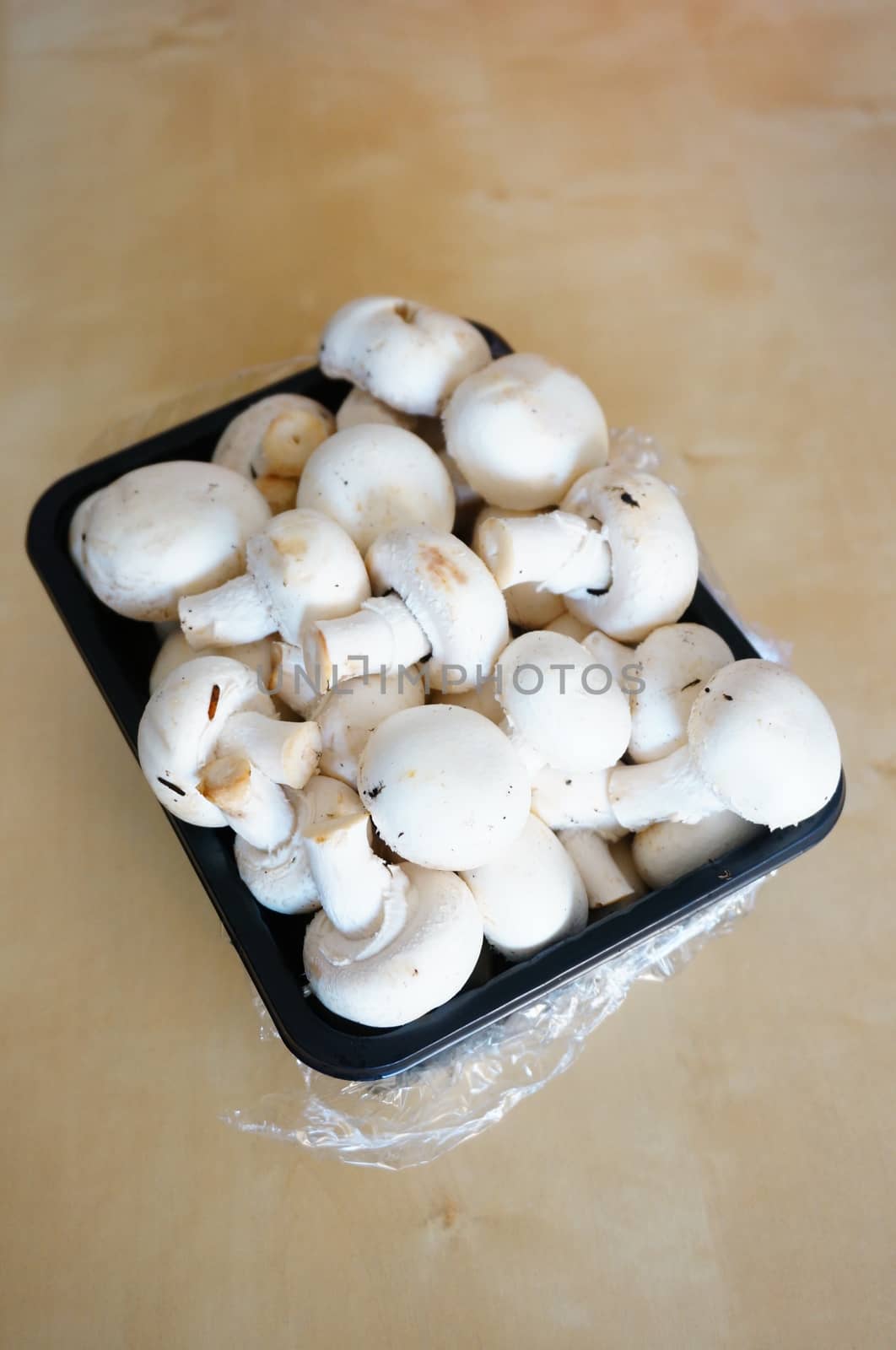 Fresh white champignons in a plastic box