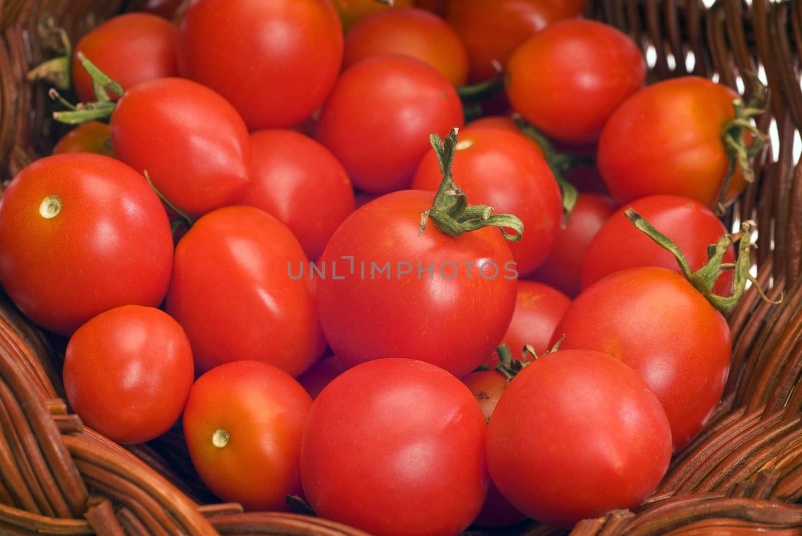 Close up shot of different sizes of little juicy red tomatoes.