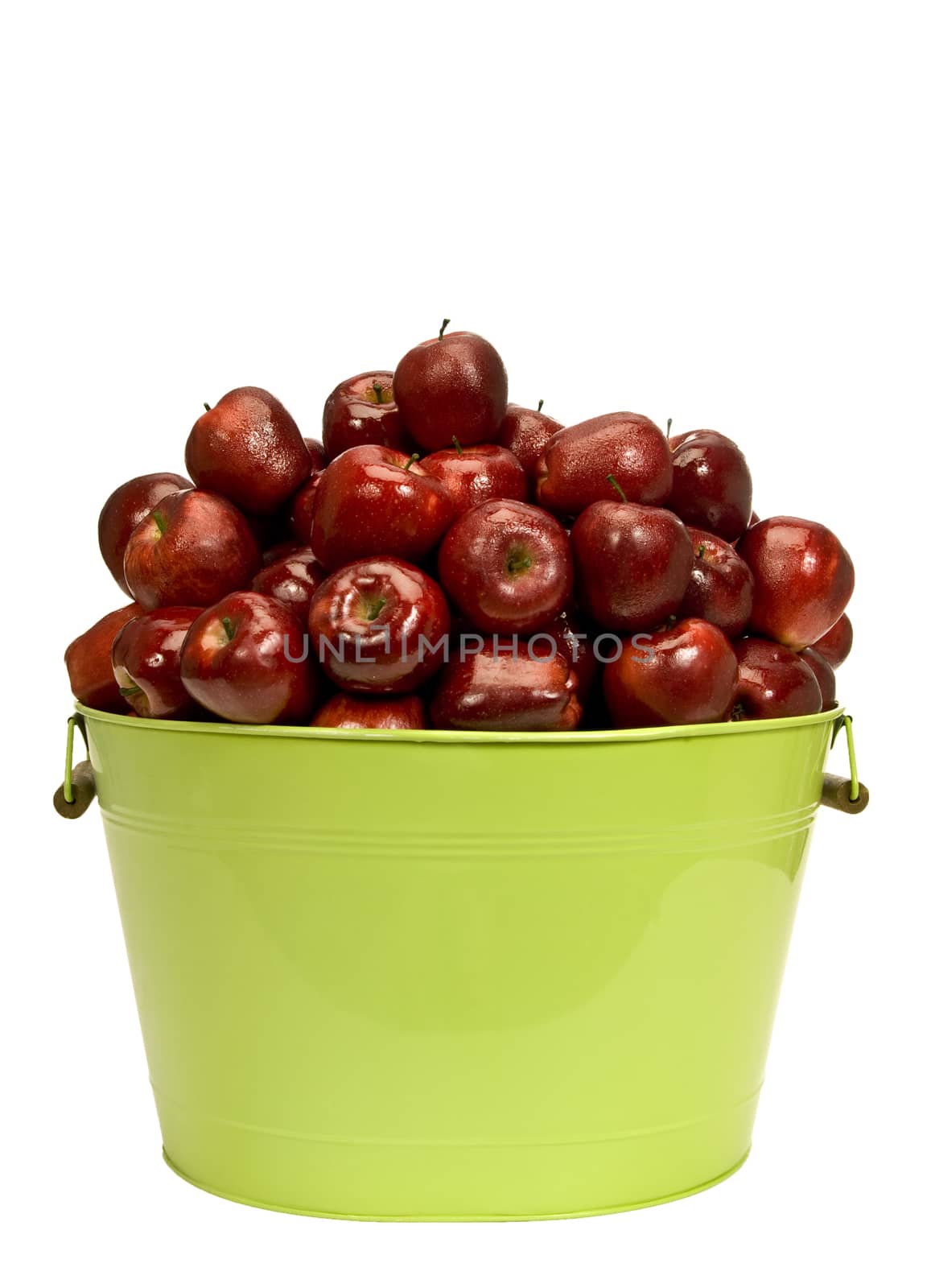 Straight on shot of a bucket full of fresh picked glistening dew covered red apples on white background