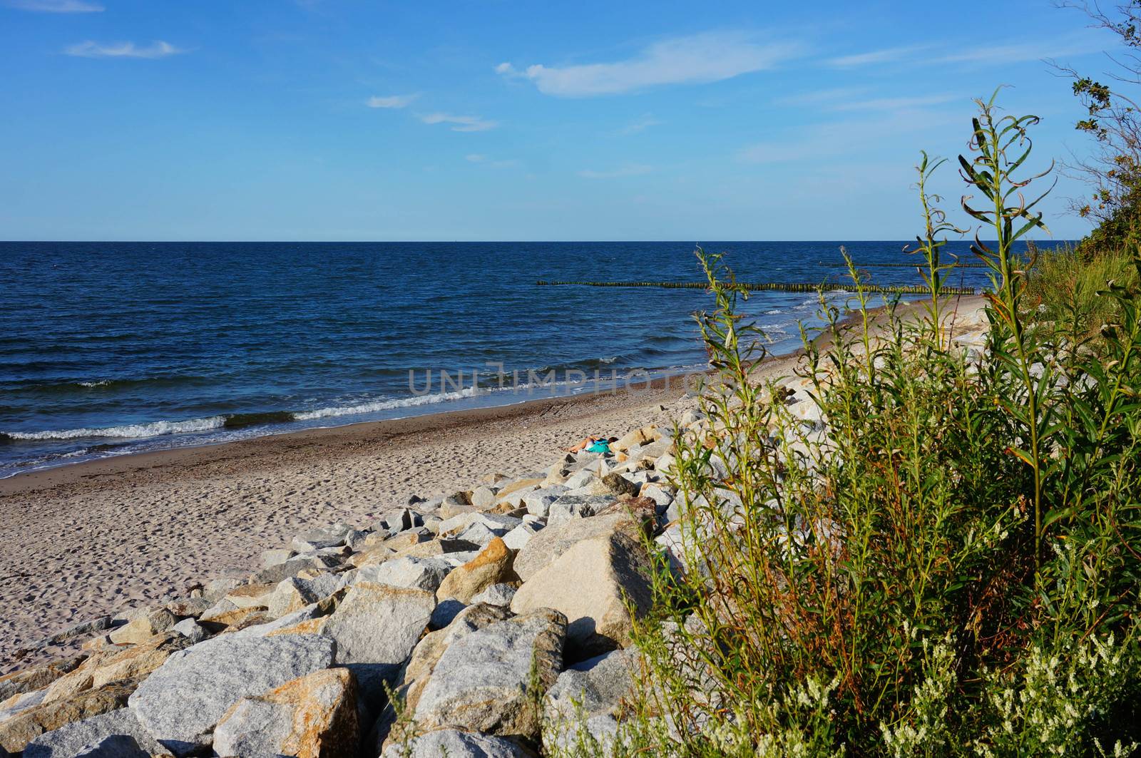 Coast with sand by the sea