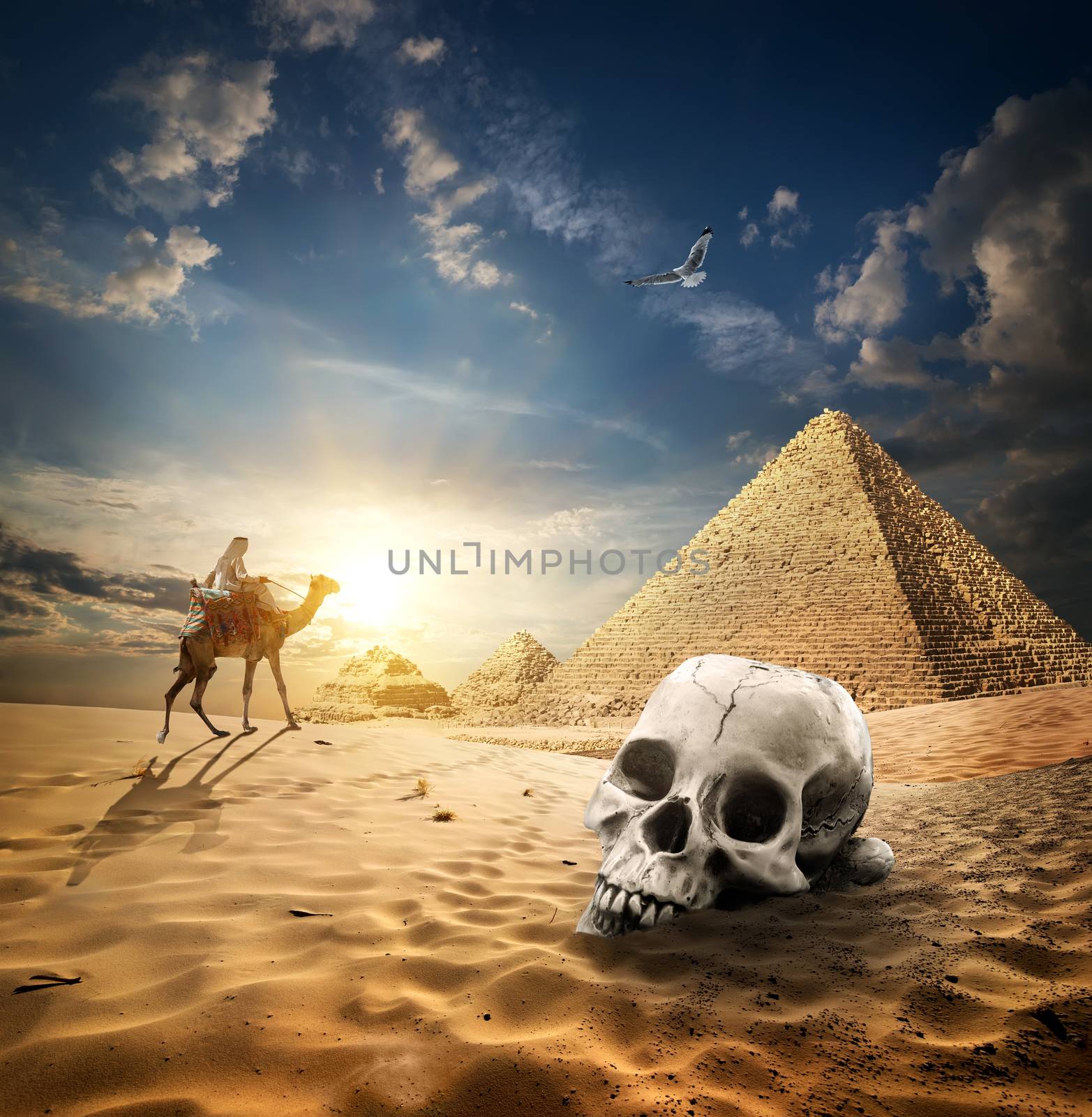 Pyramids and skull by Givaga