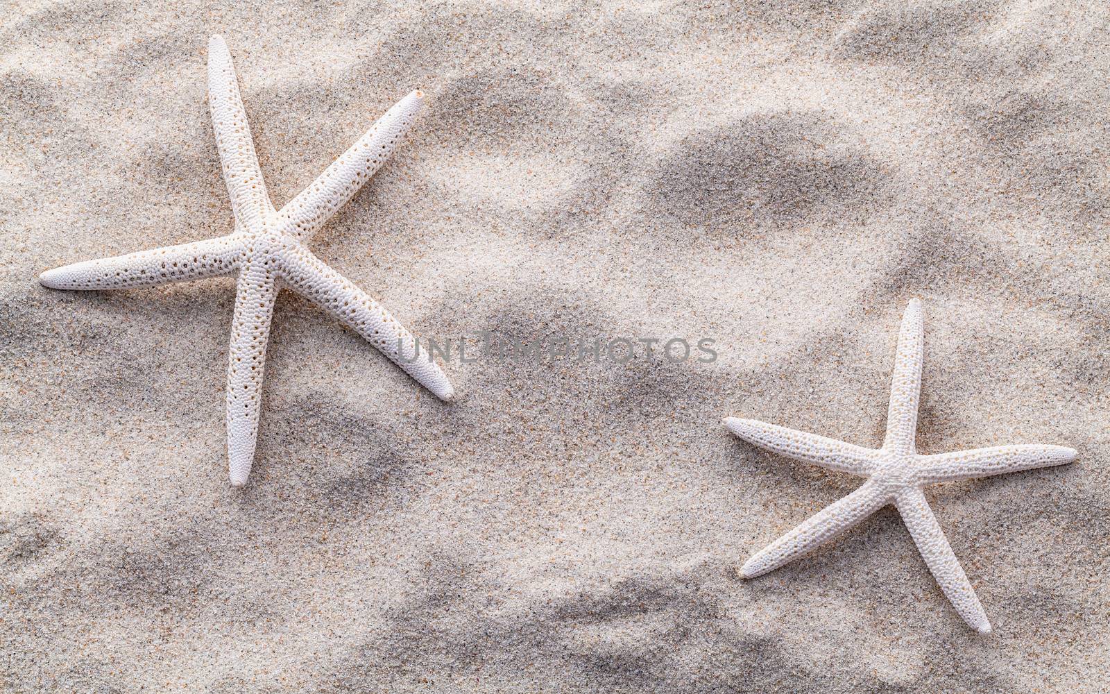 Sea shells,starfish and crab on beach sand for summer and beach  by kerdkanno