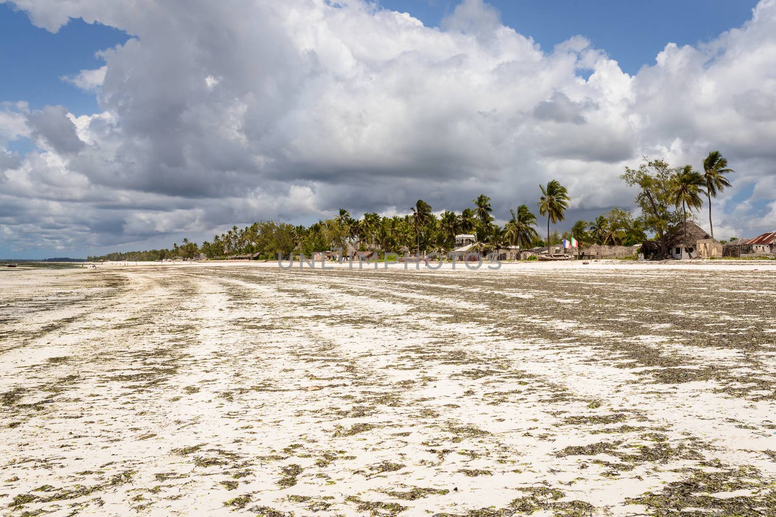 a nice view of Zanzibar beach,Tanzania.