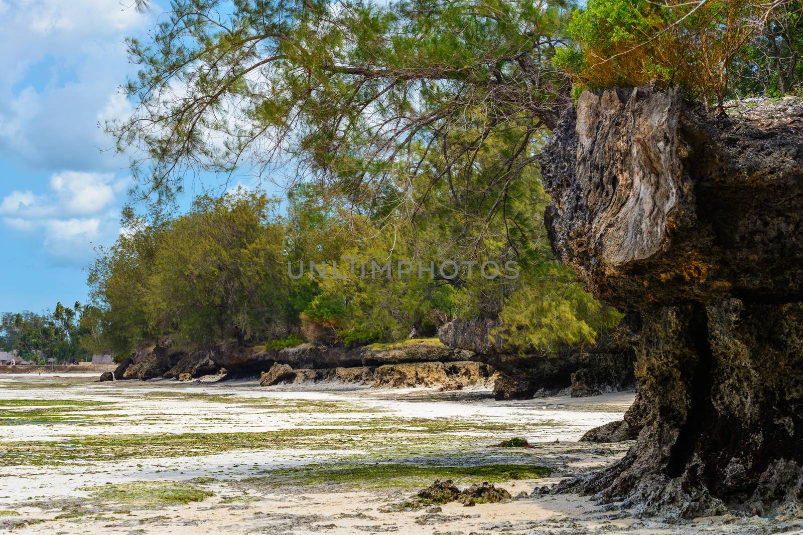 Zanzibar beach by Robertobinetti70