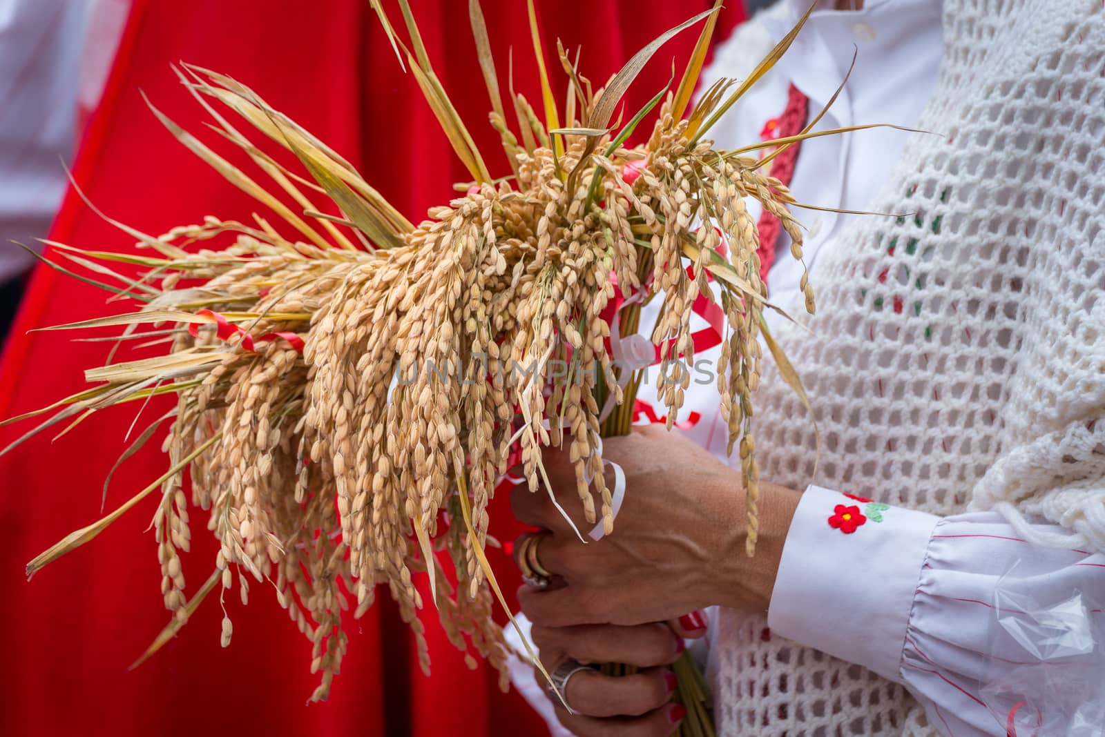 Each year in the city of Lacchiarella is the festival of the goose where local farmers are dressed with traditional clothes and parade through the streets of the city