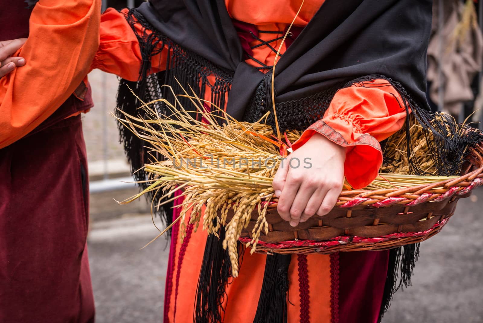 Each year in the city of Lacchiarella is the festival of the goose where local farmers are dressed with traditional clothes and parade through the streets of the city
