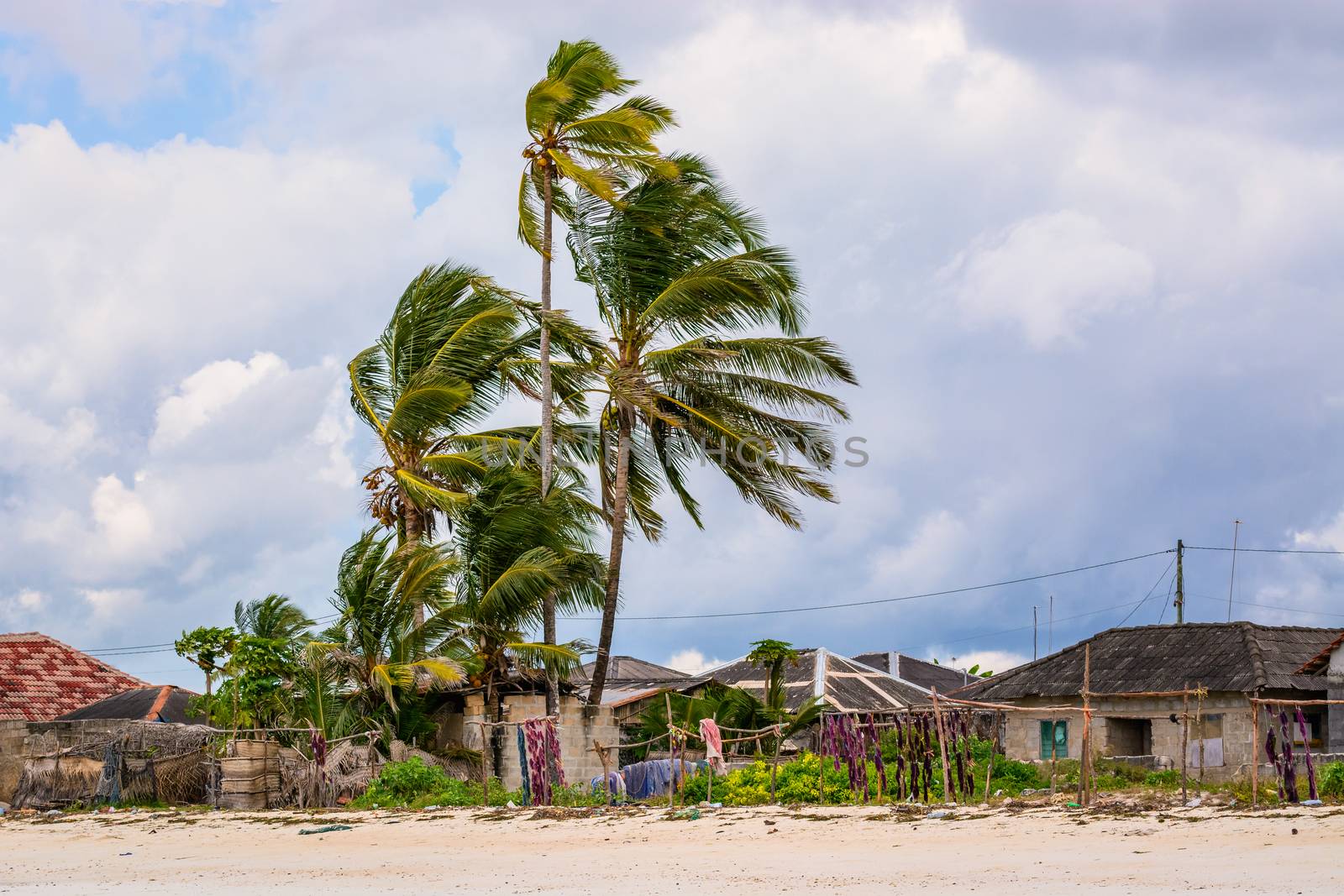 a nice view of village in Zanzibar island, Tanzania.