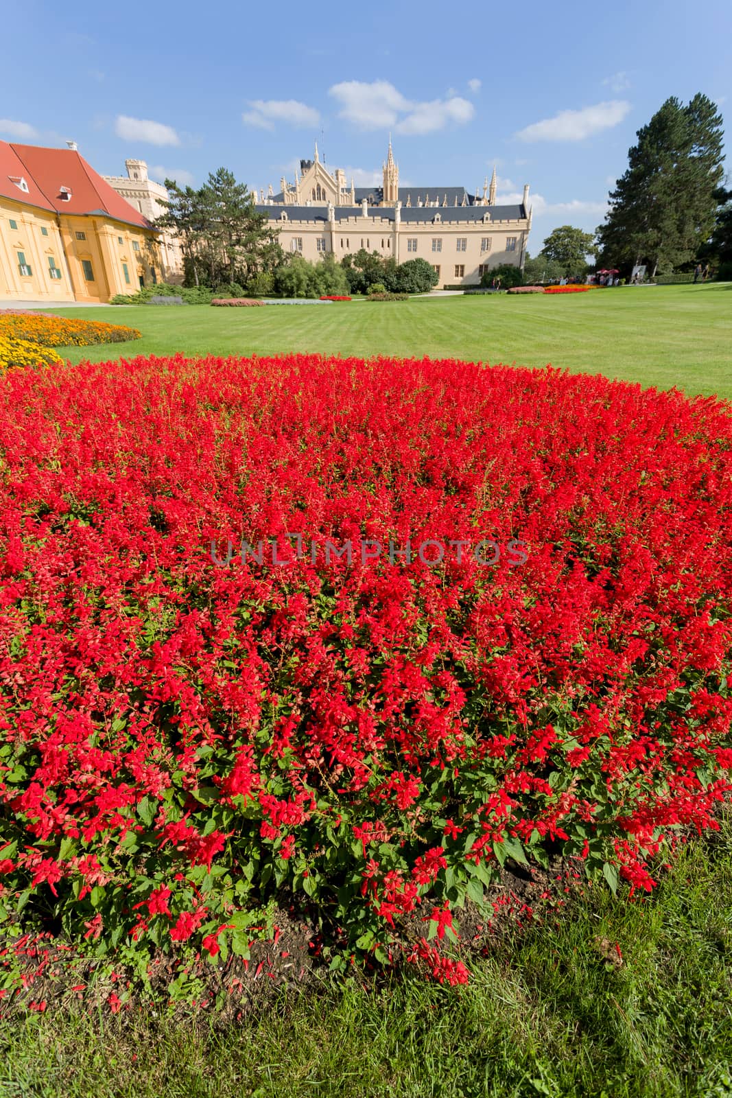 View of Lednice Castle at Sunset, UNESCO World Heritage in Lednice, South Moravia, Czech Republic
