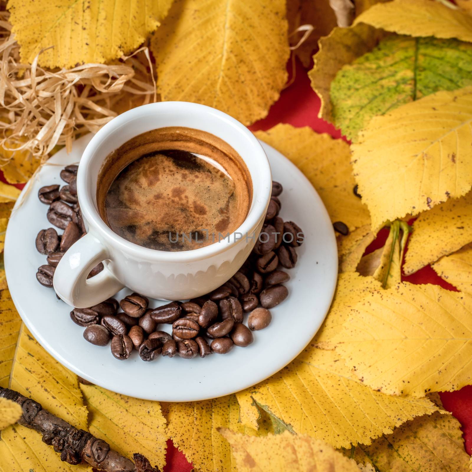 Coffee Espresso. Cup Of Coffee With  Yellow Autumn Leaves by nehru