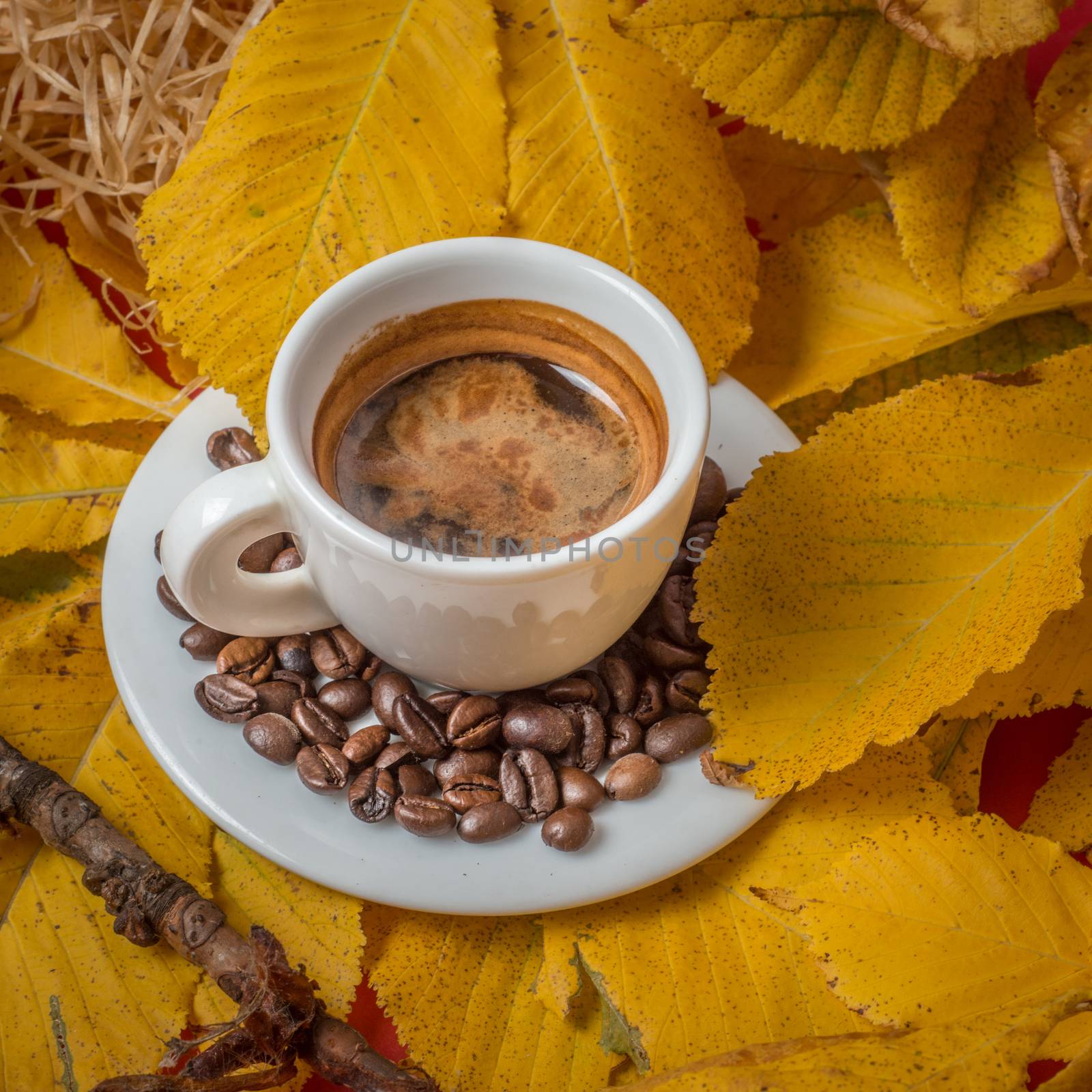 Coffee Espresso. Cup Of Coffee With  Yellow Autumn Leaves by nehru