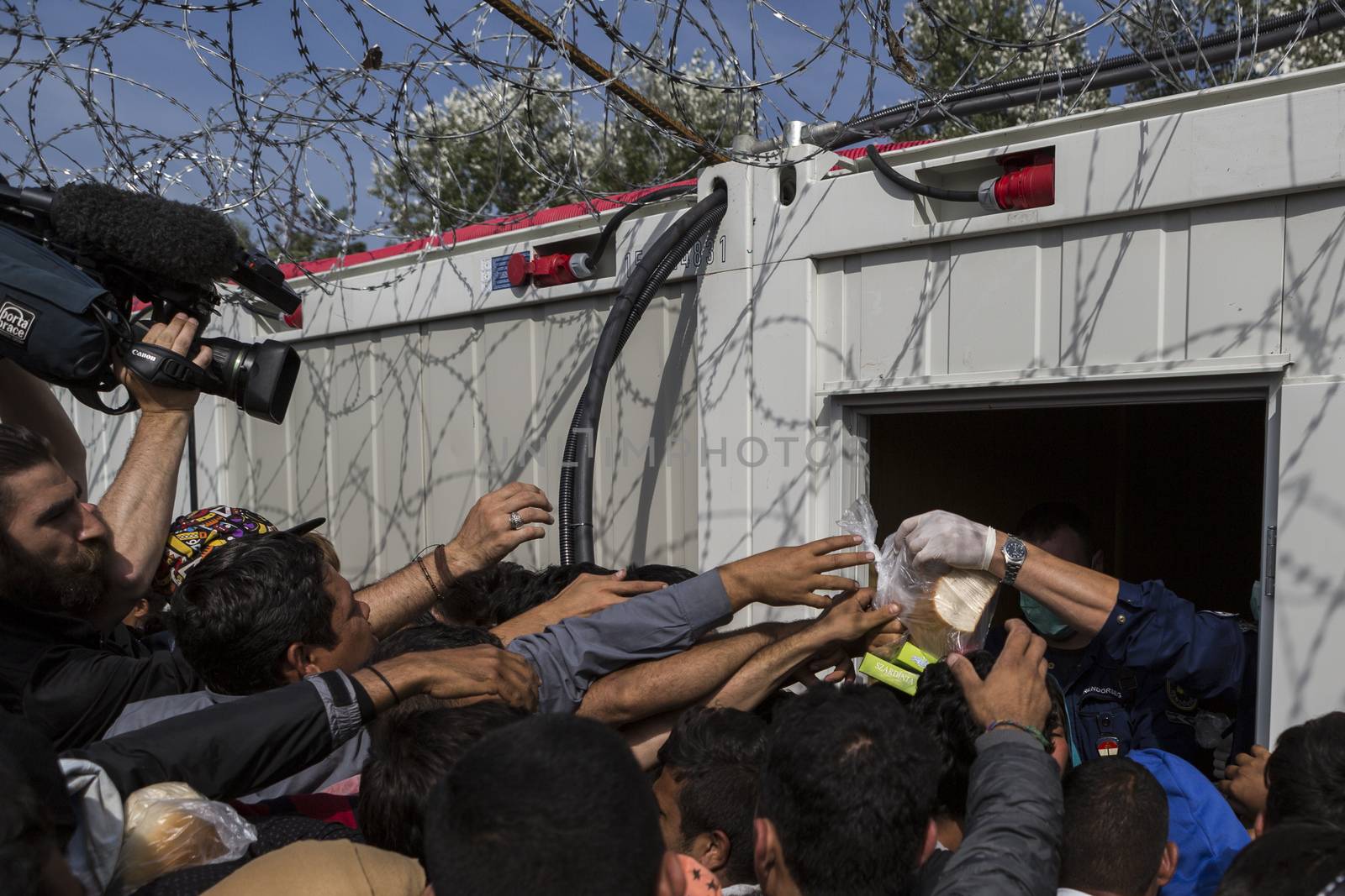 SERBIA, Horgos: A Hungarian policeman distributes some food to refugees waiting at the Serbia-Hungary border after Hungary closed the border crossing on September 16, 2015.****Restriction: Photo is not to be sold in Russia or Asia****