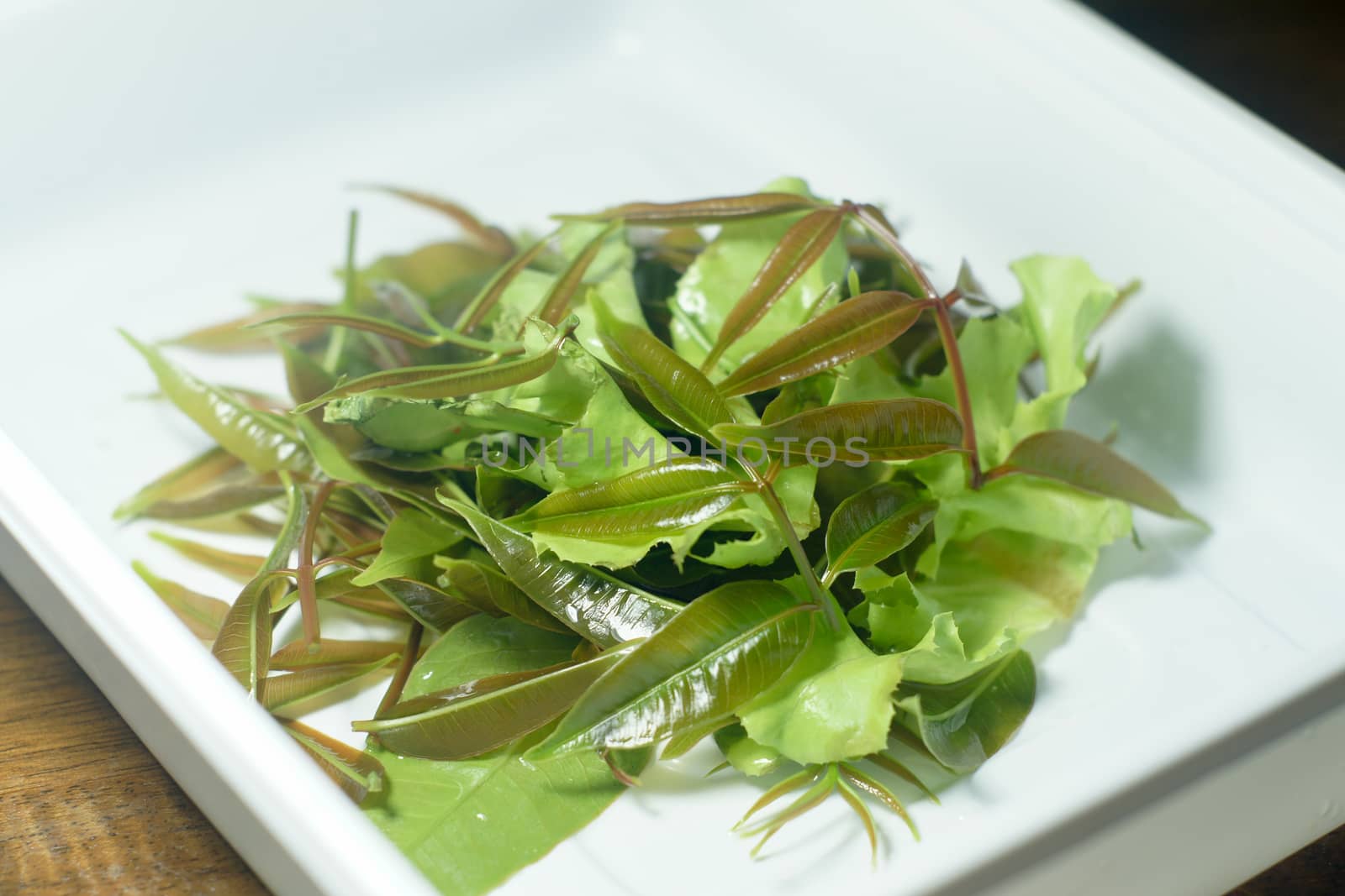 Fresh green olive leaves and lettuce leaves on white plate for food or cooking concept (selective focus)